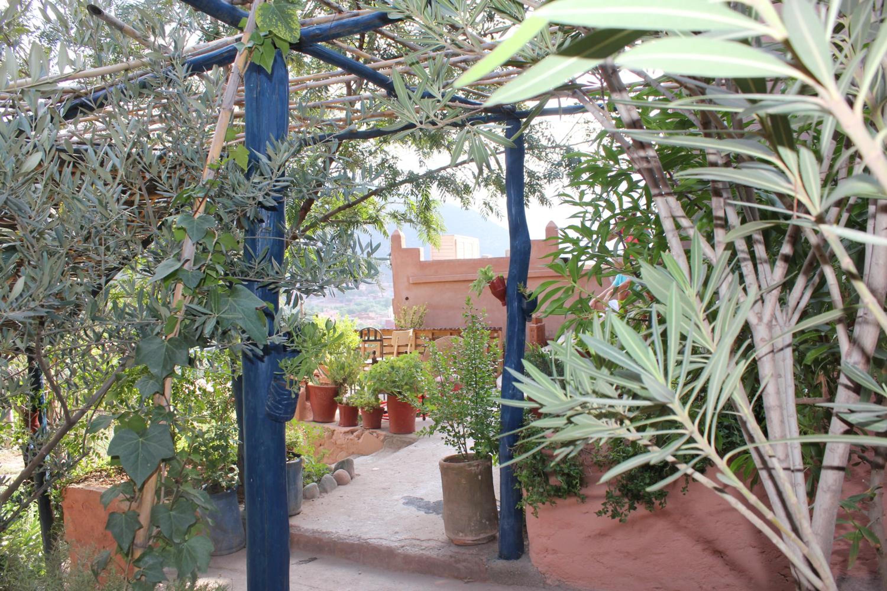 roof