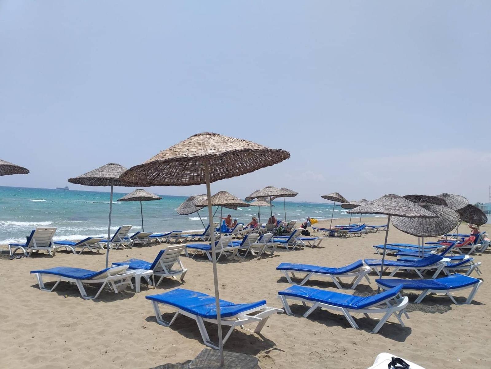 Panorama 44 Agya Napa