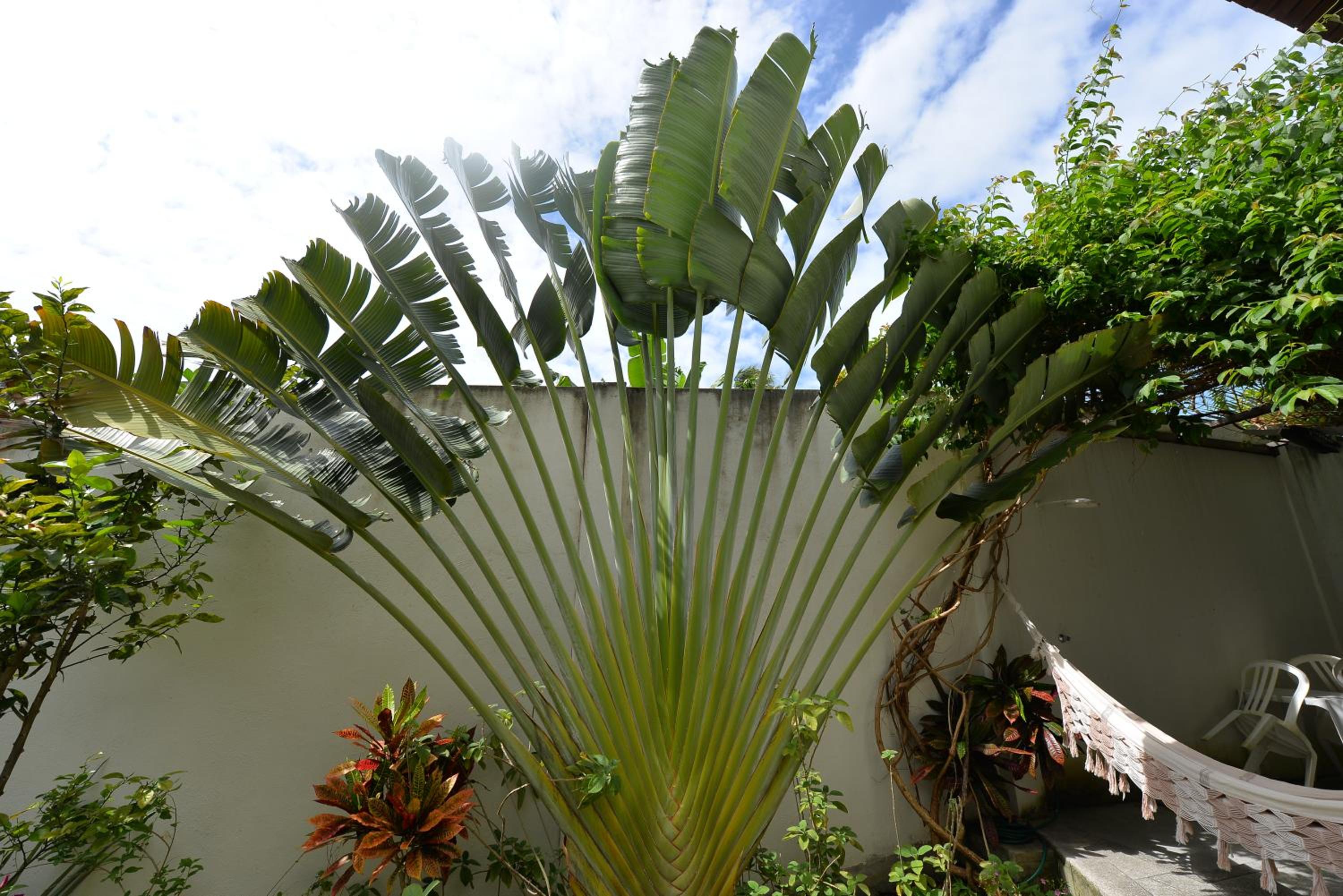 Photo 48