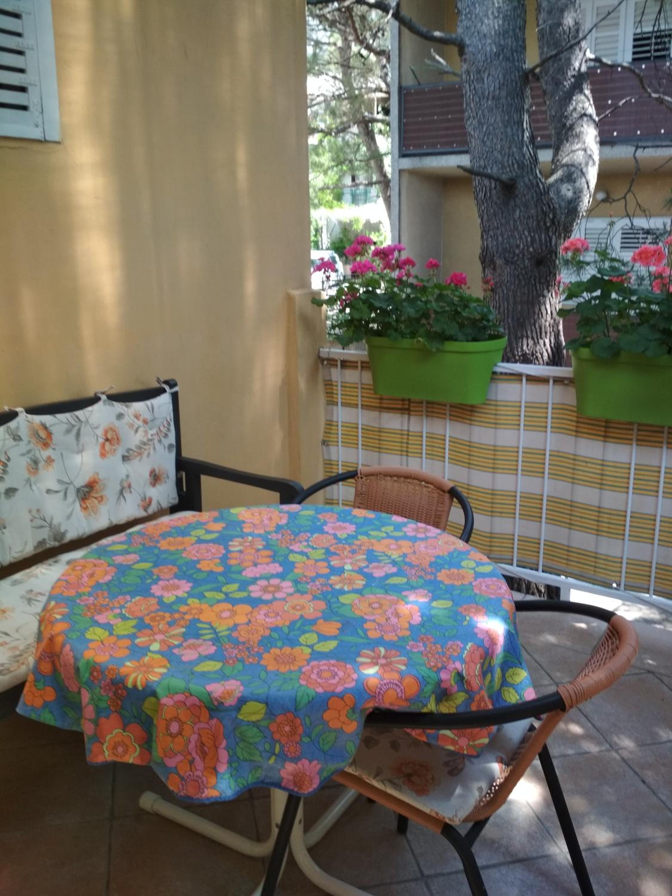 Apartmani Carević