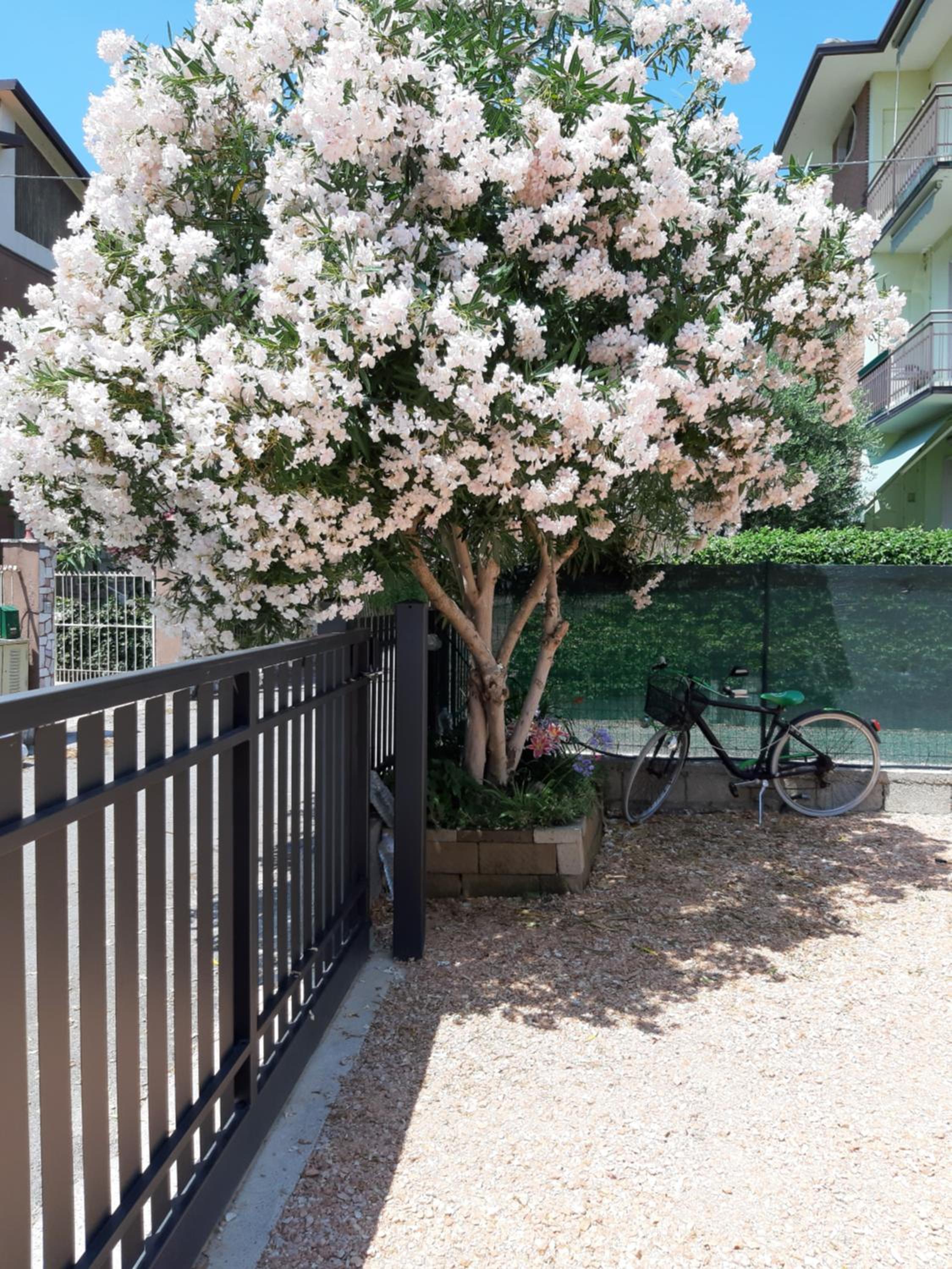 Villa Marianna Garda Lake view 5