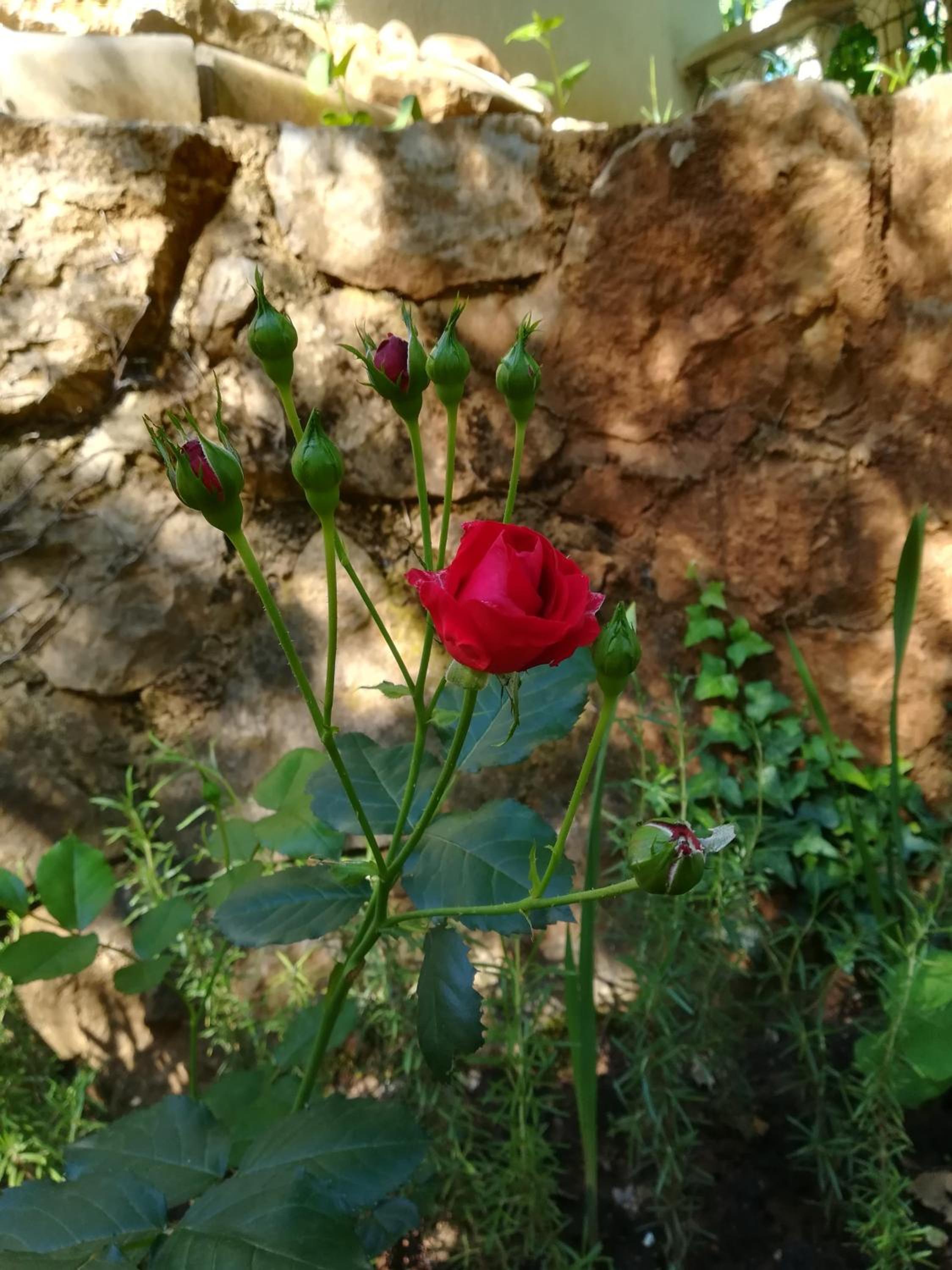 Photo 14
