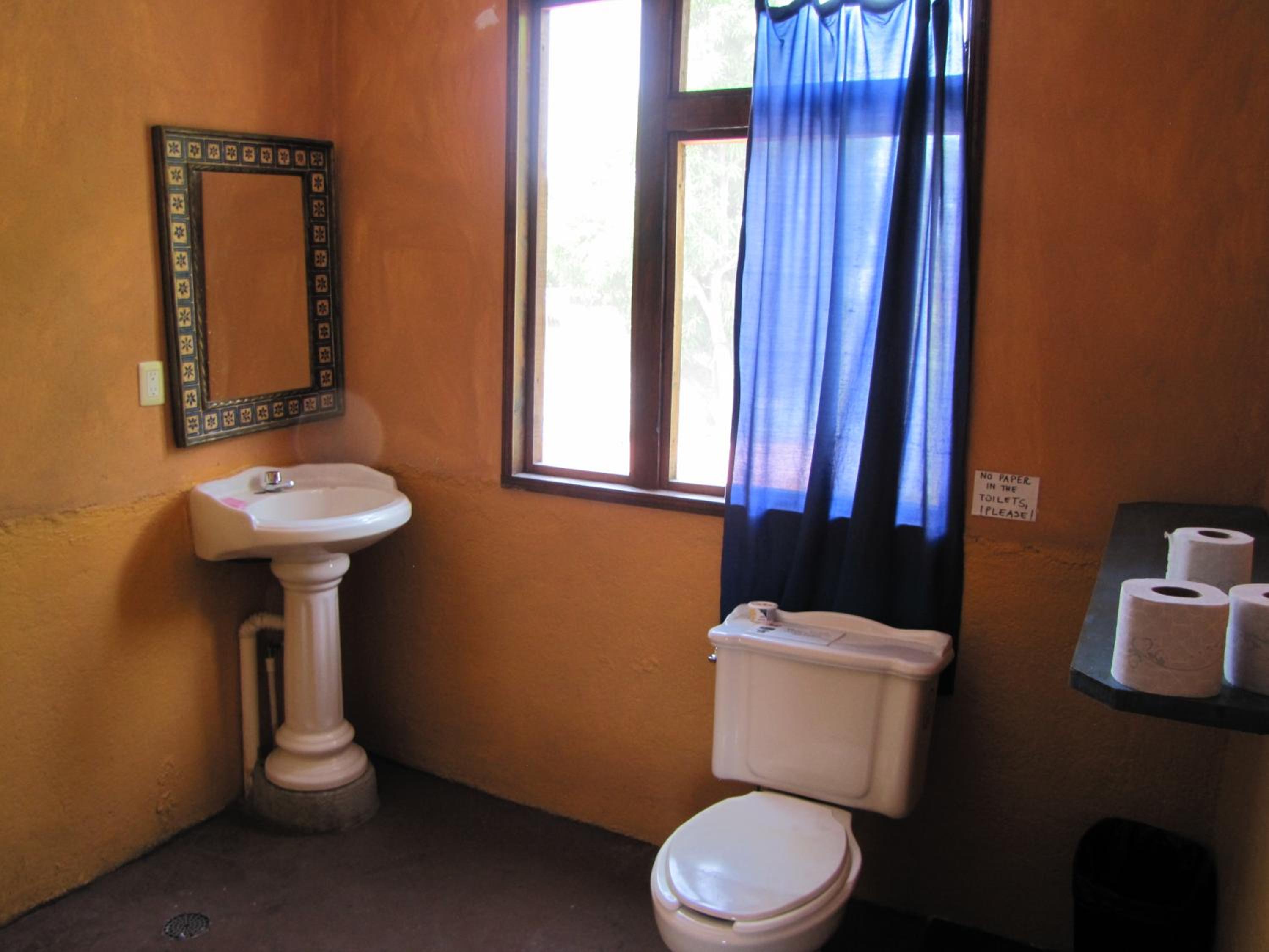 Photo 44