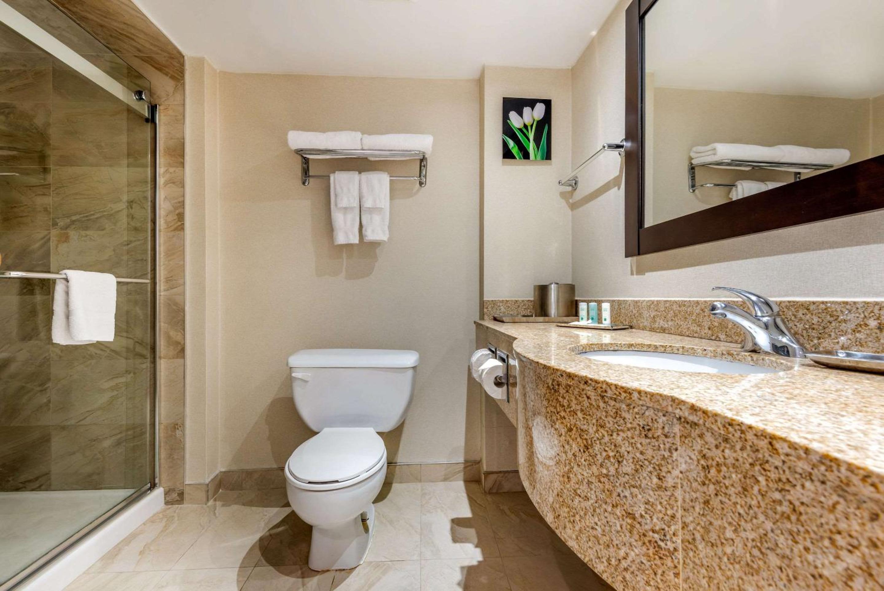 Quality Inn  Suites - Property Image 7