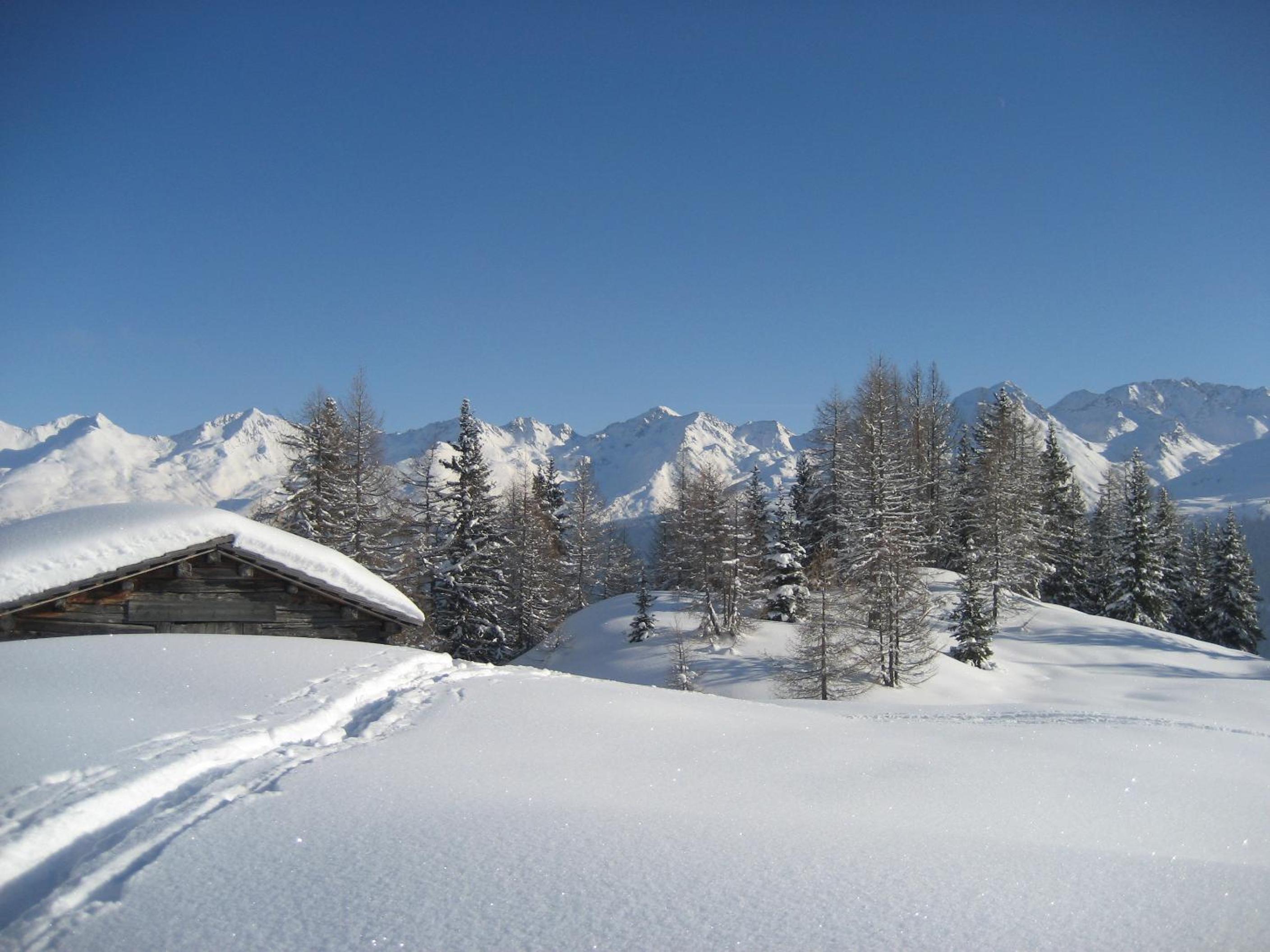 Photo 11