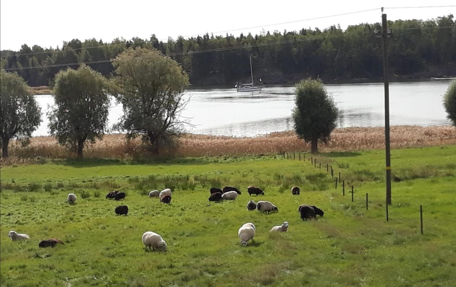 Holiday Cottage Tiira with Sauna House