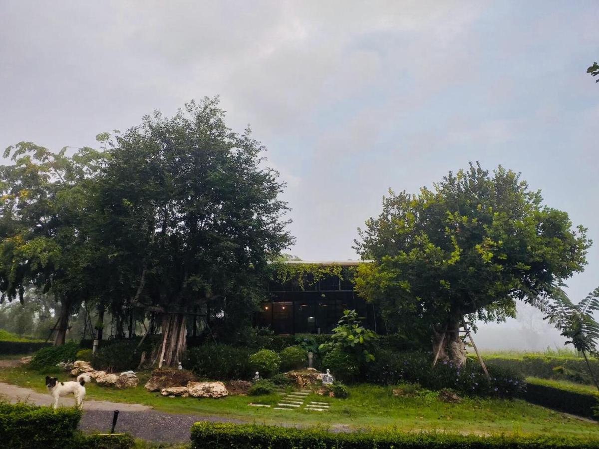 children's play area