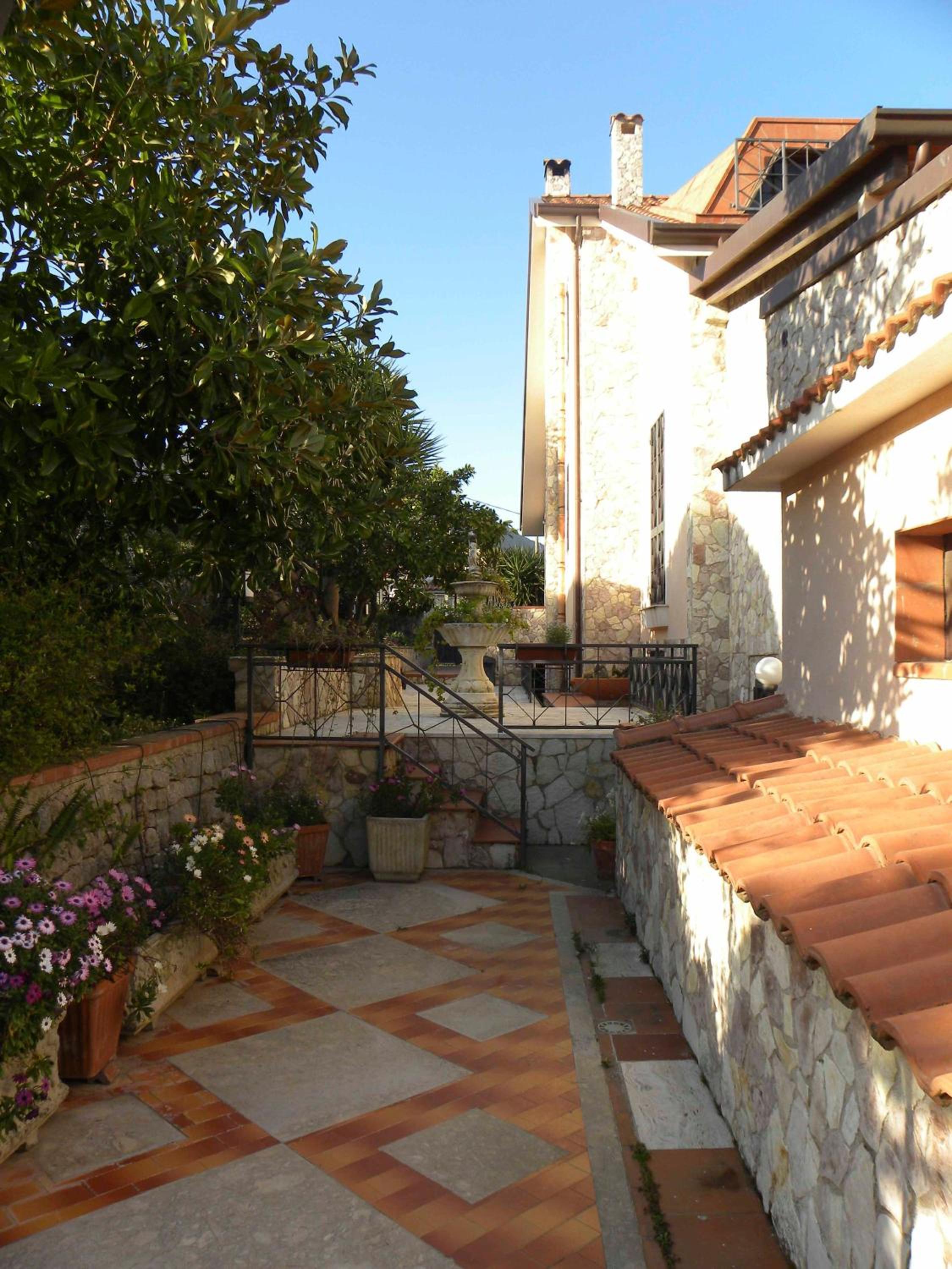 Photo 44