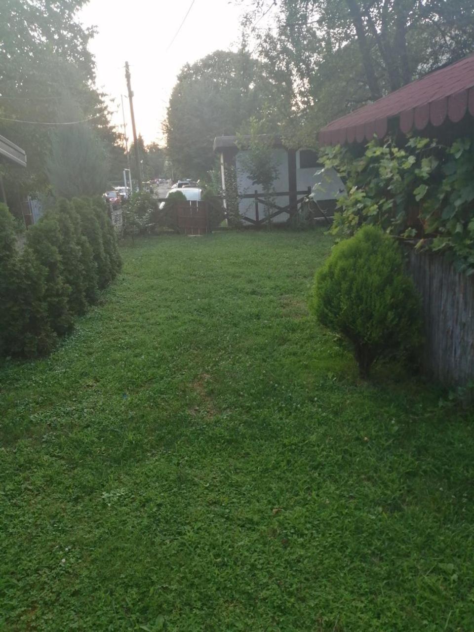 Photo 33