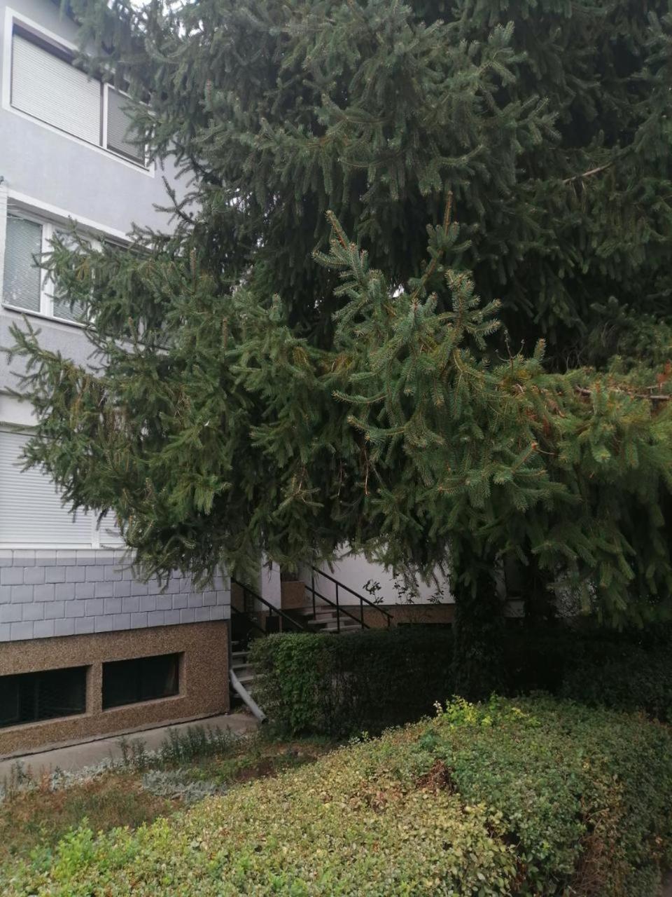 Photo 29
