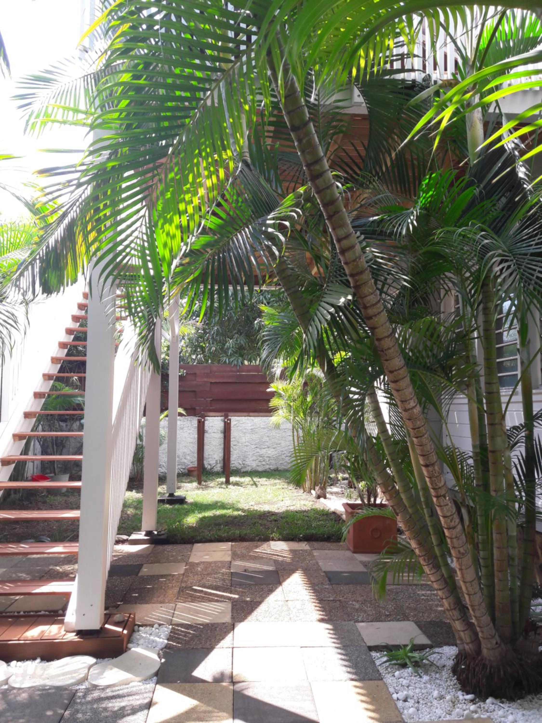 Lacazazola