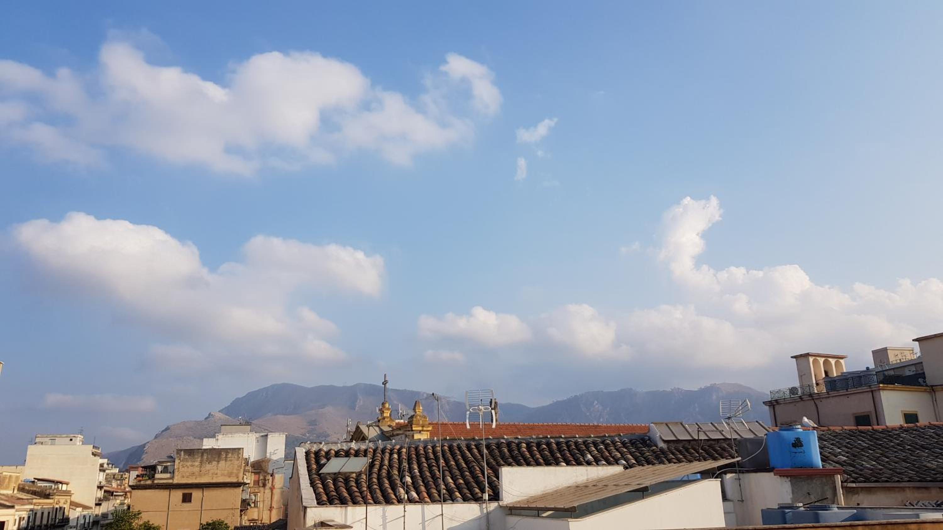 roof