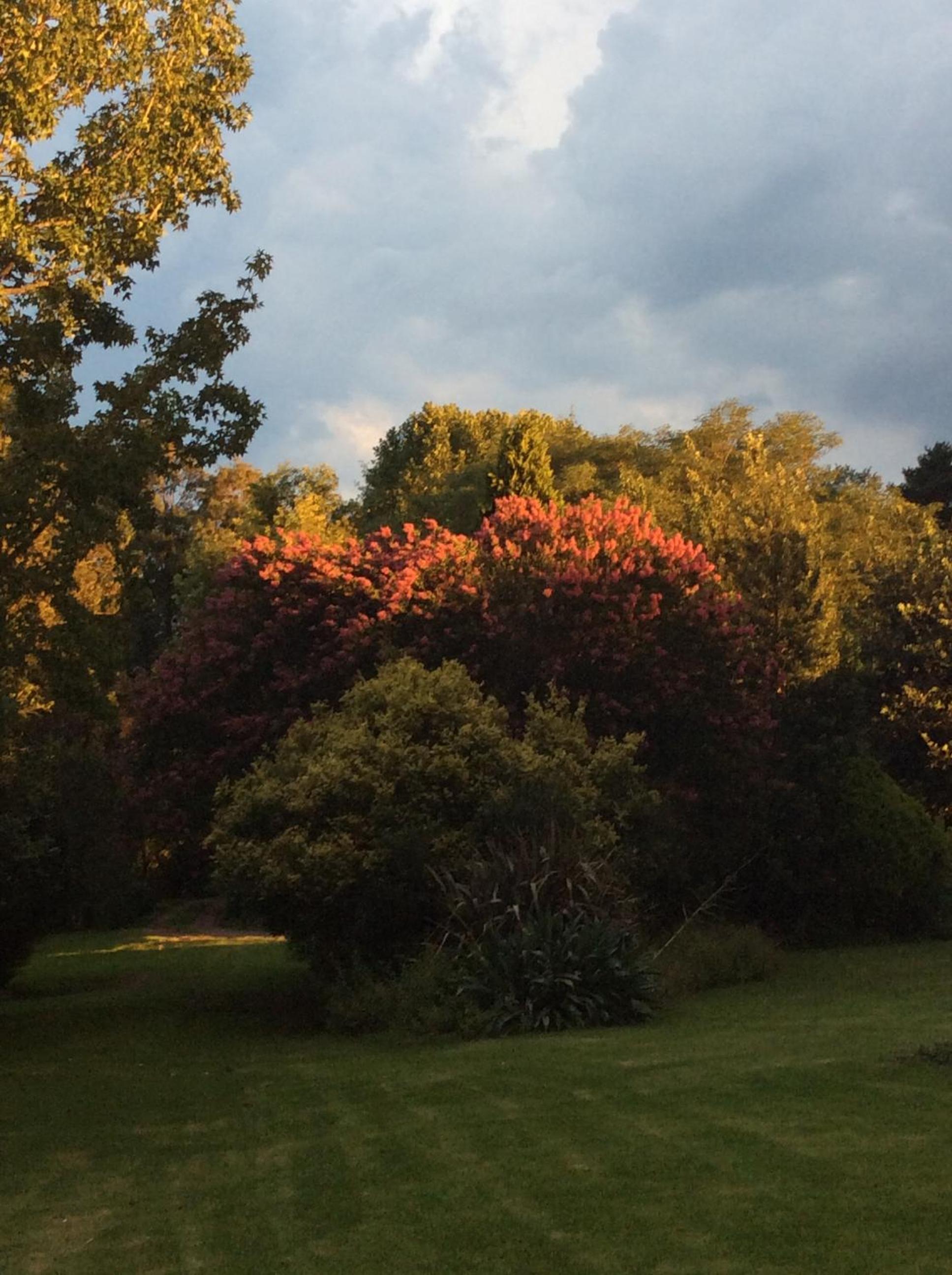Lastingham Country Lodge