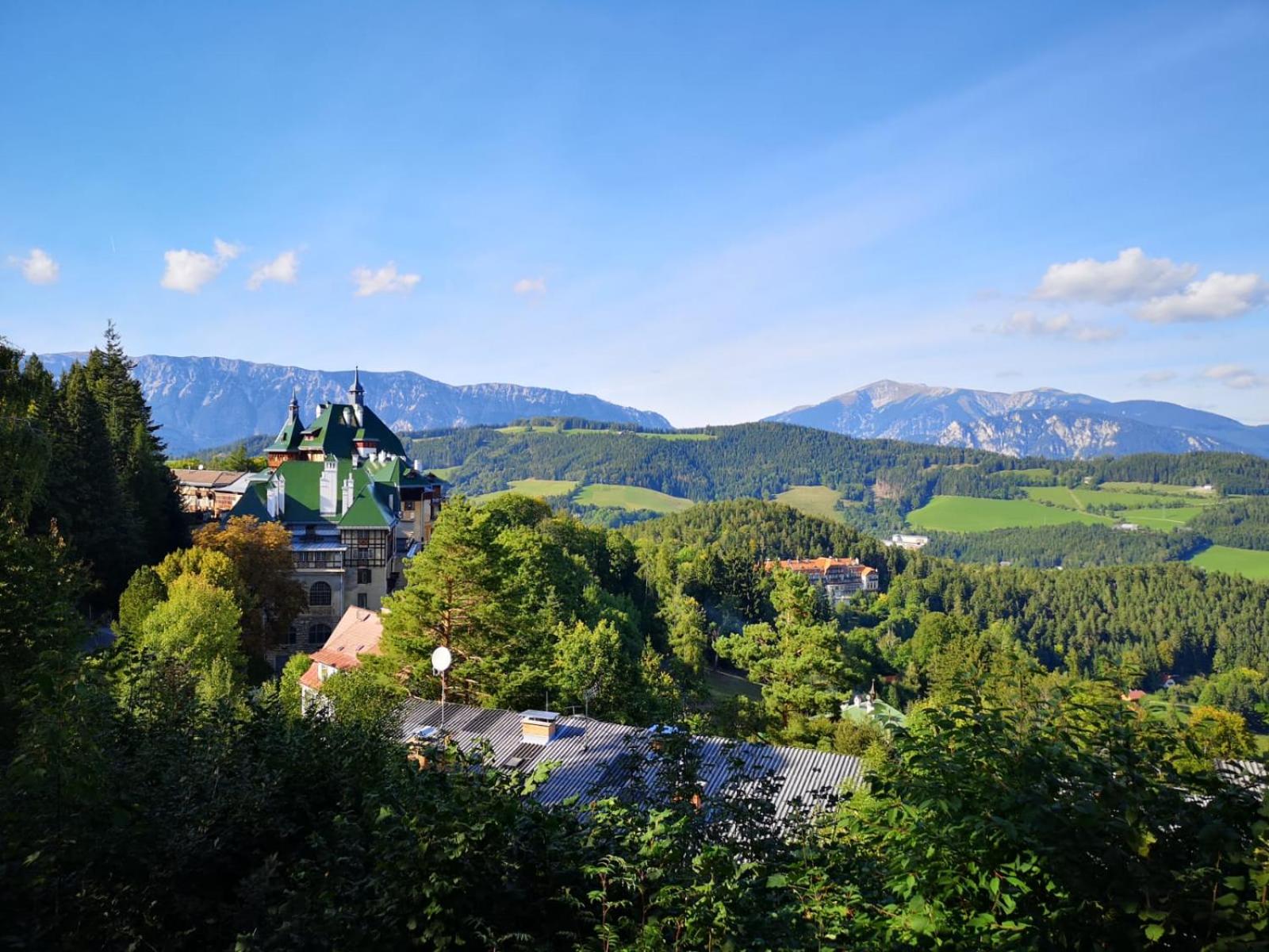 Waldnest am Semmering view 5