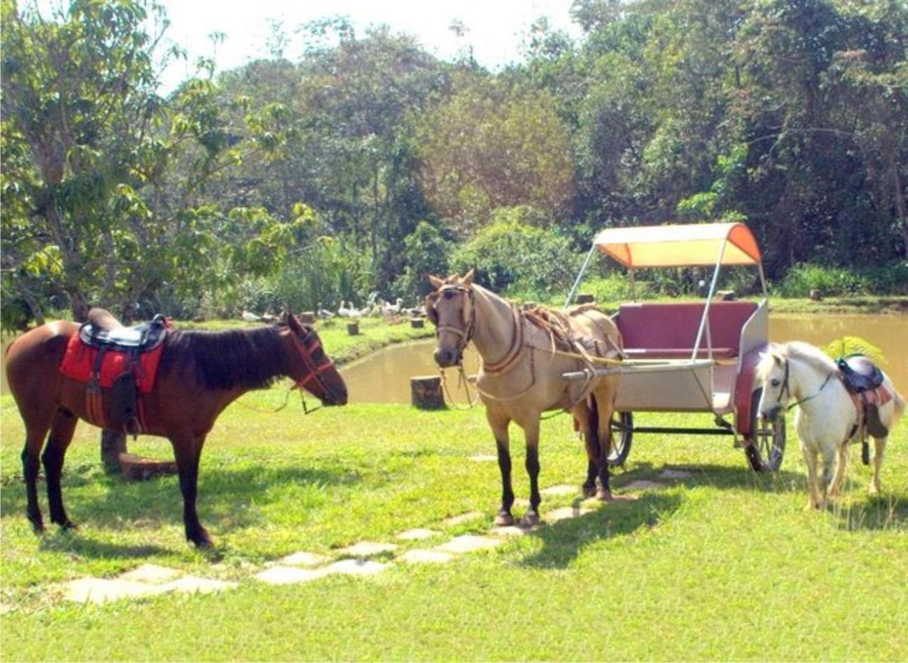 Hotel Fazenda Vale Amanhecer