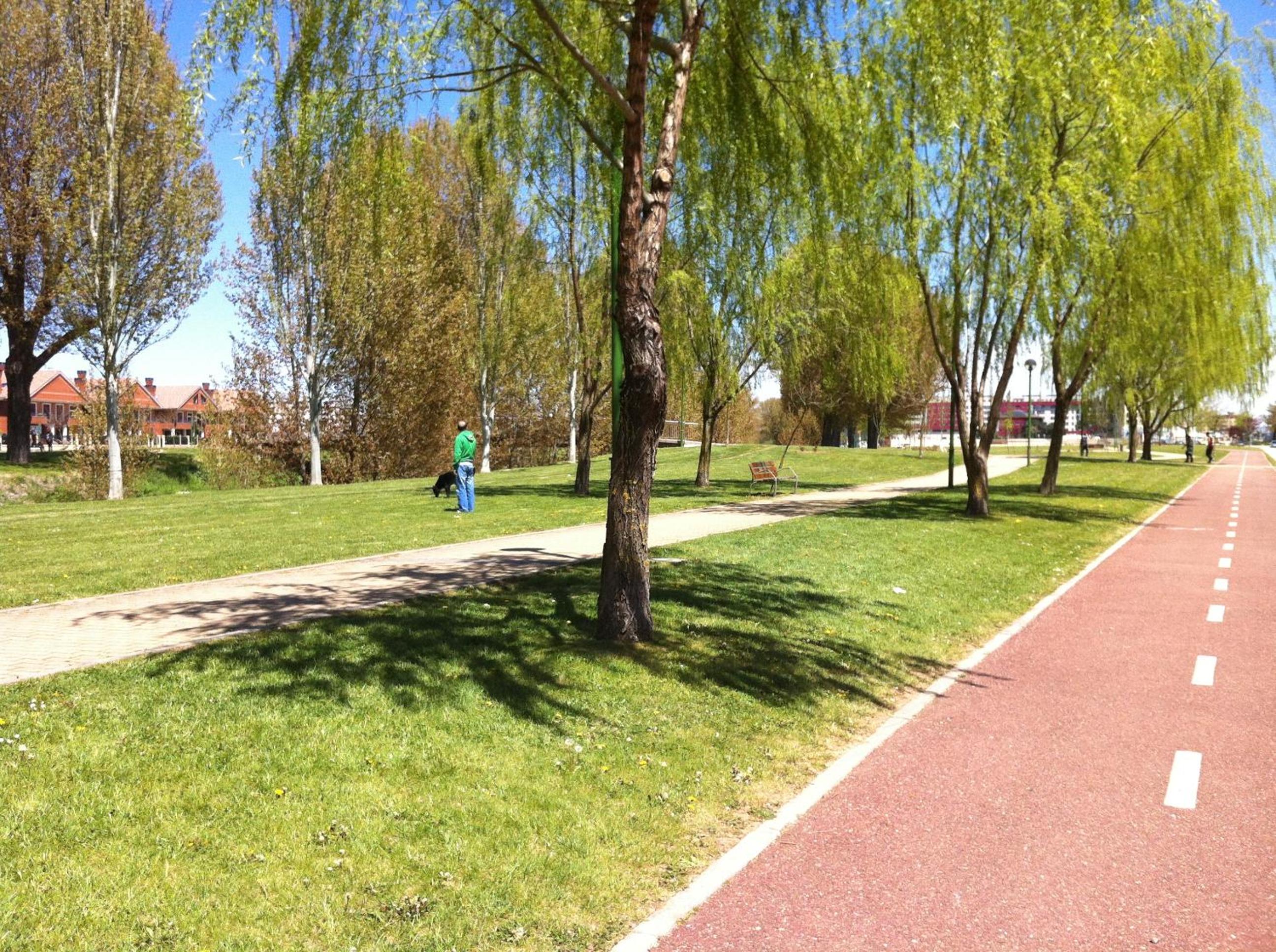 Photo 51