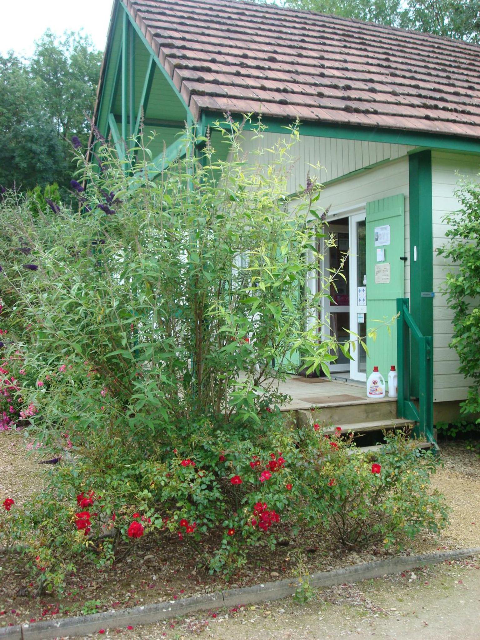 Photo 23