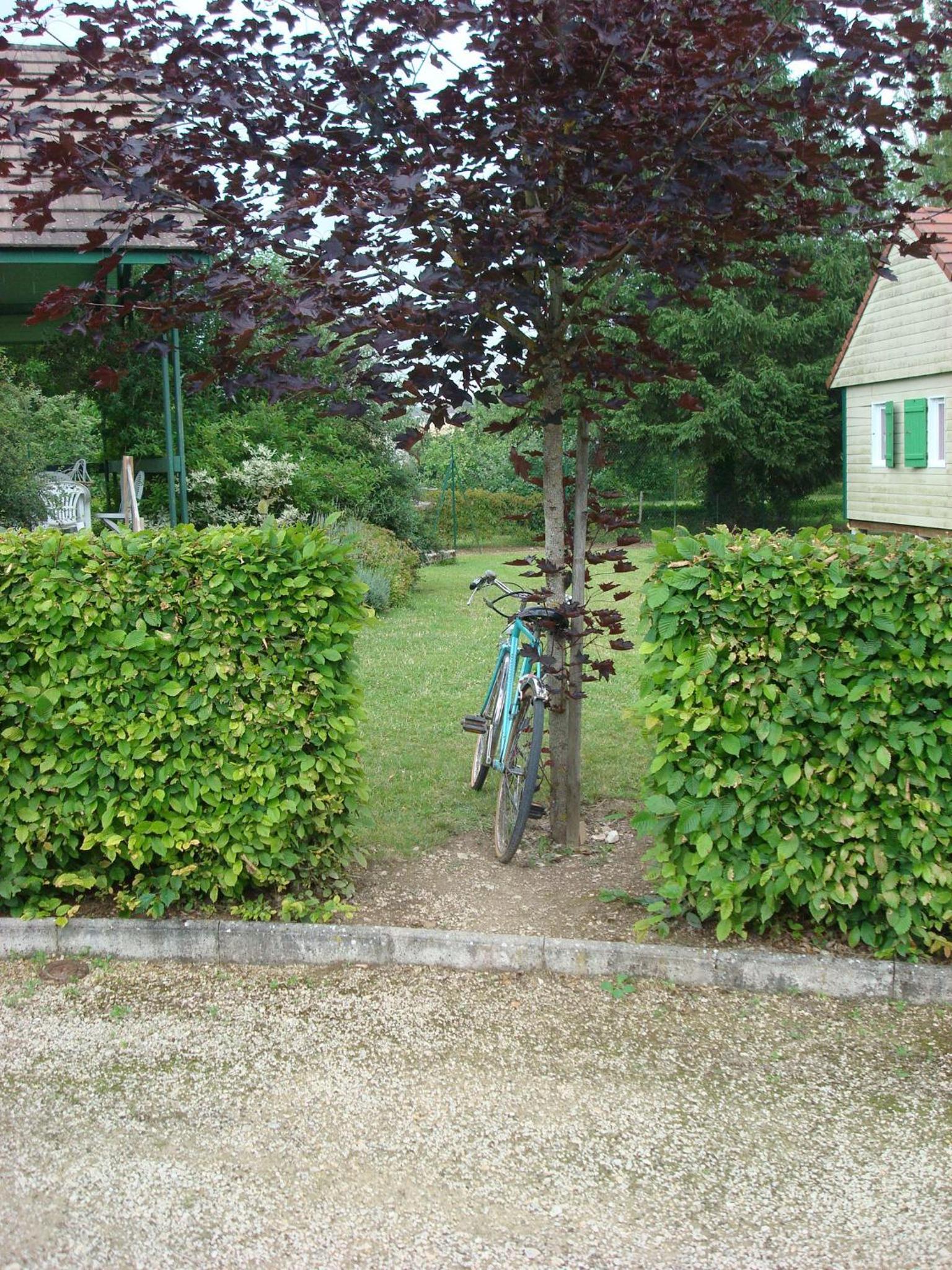 Photo 28
