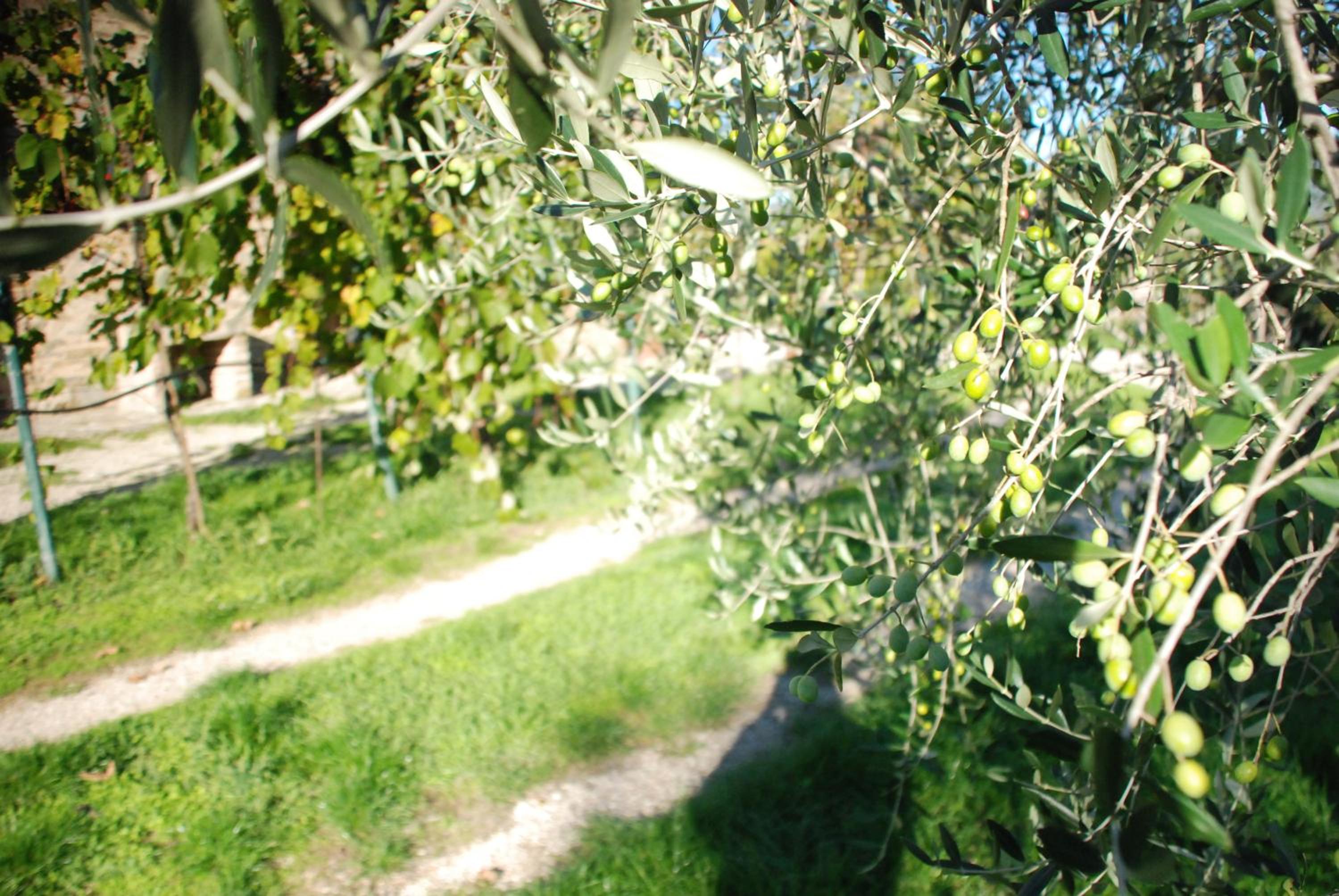 Agriturismo Le Volte