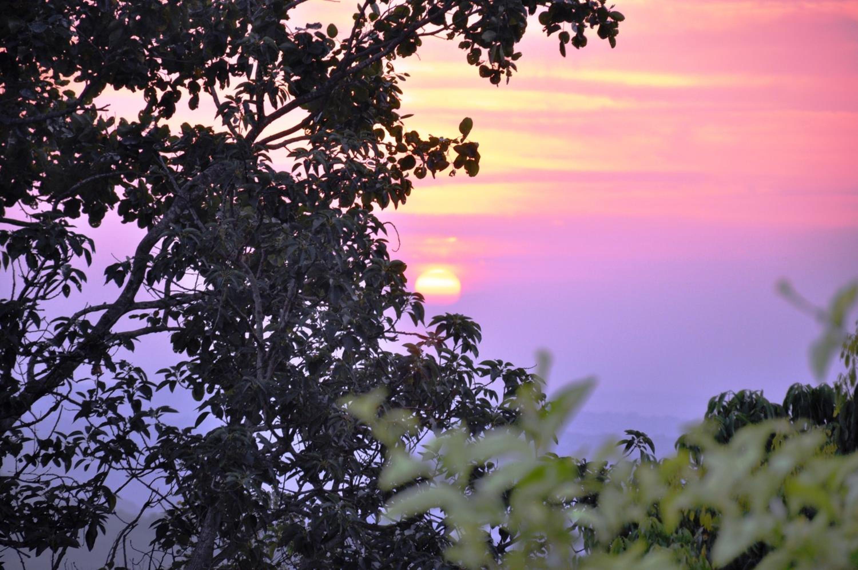 Hazyview Vacations - Viewpoint Lodge  Safari Tours - Property Image 7