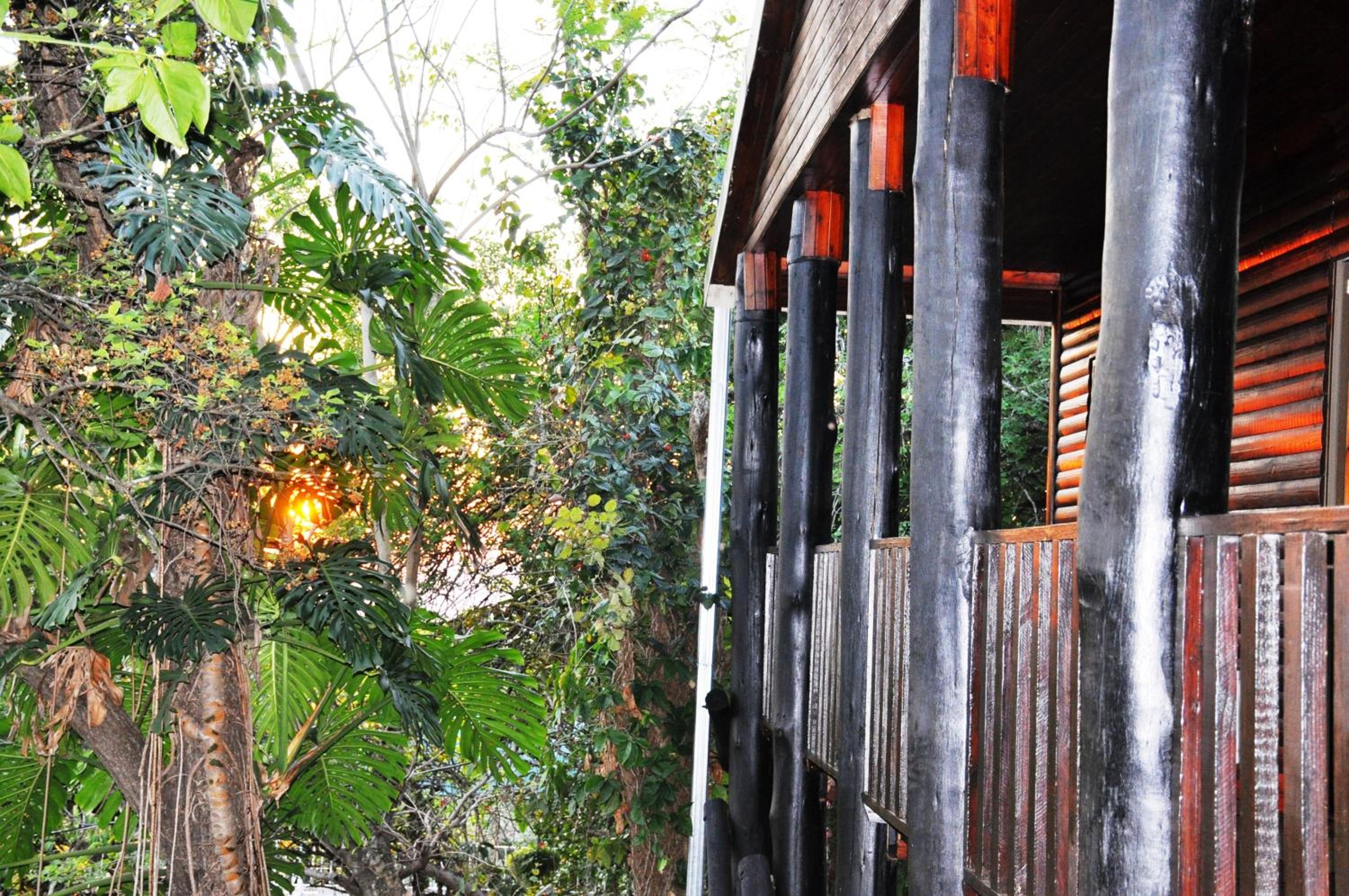 Hazyview Vacations - Viewpoint Lodge  Safari Tours - Property Image 9