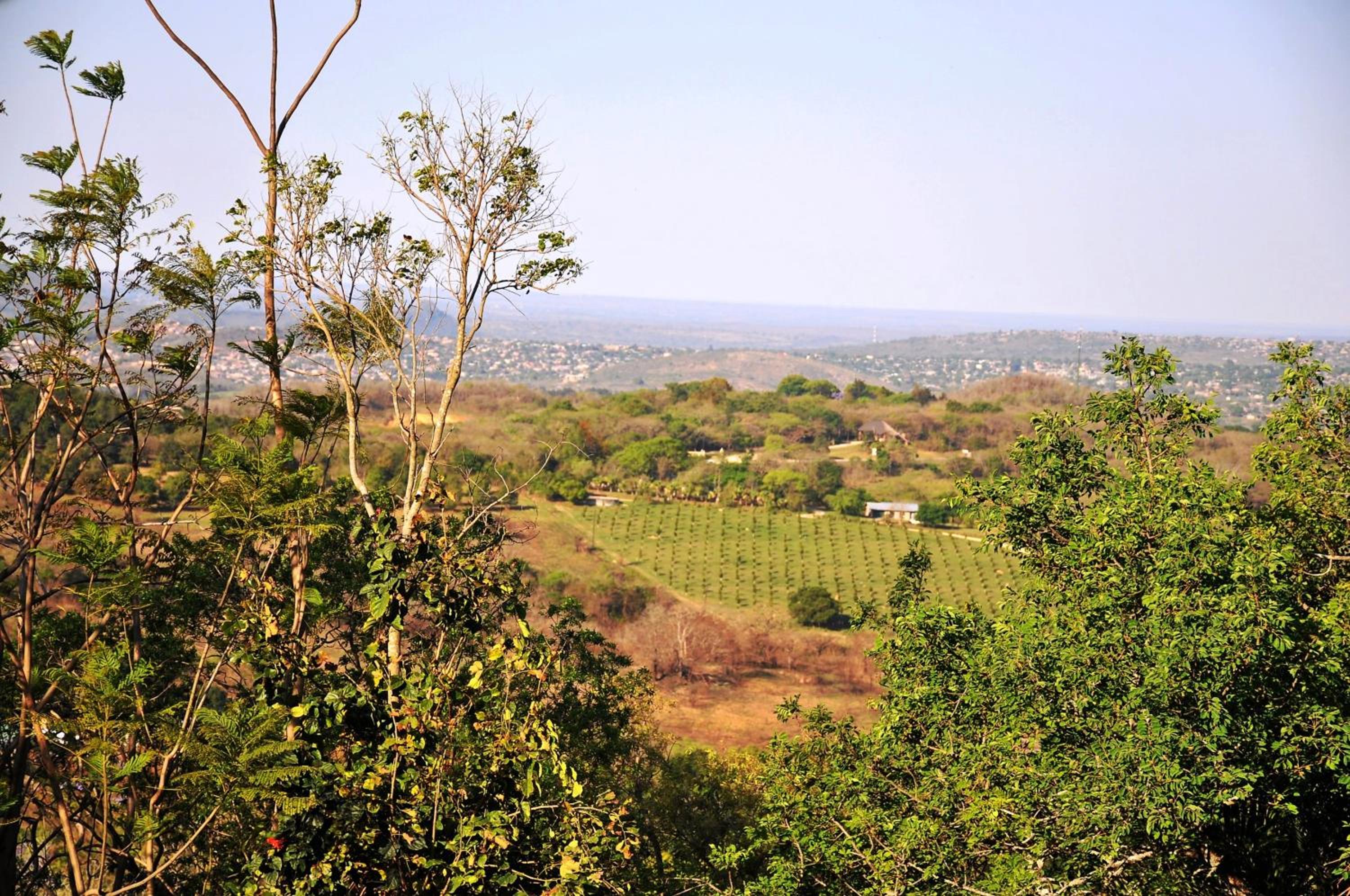 Hazyview Vacations - Viewpoint Lodge  Safari Tours - Property Image 15