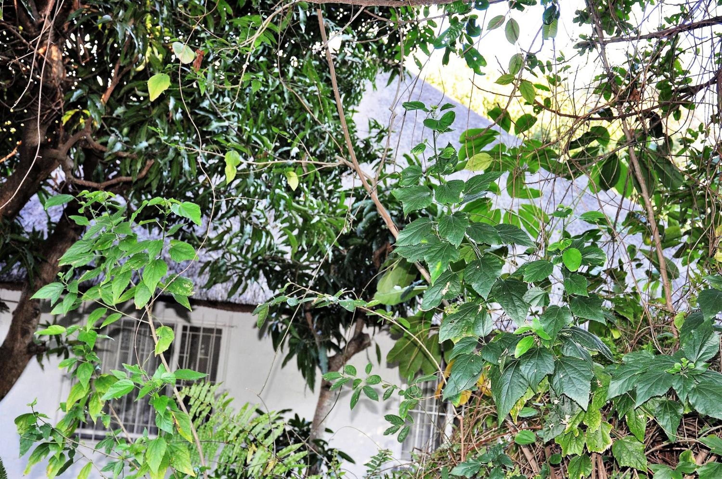 Hazyview Vacations - Viewpoint Lodge  Safari Tours - Property Image 19