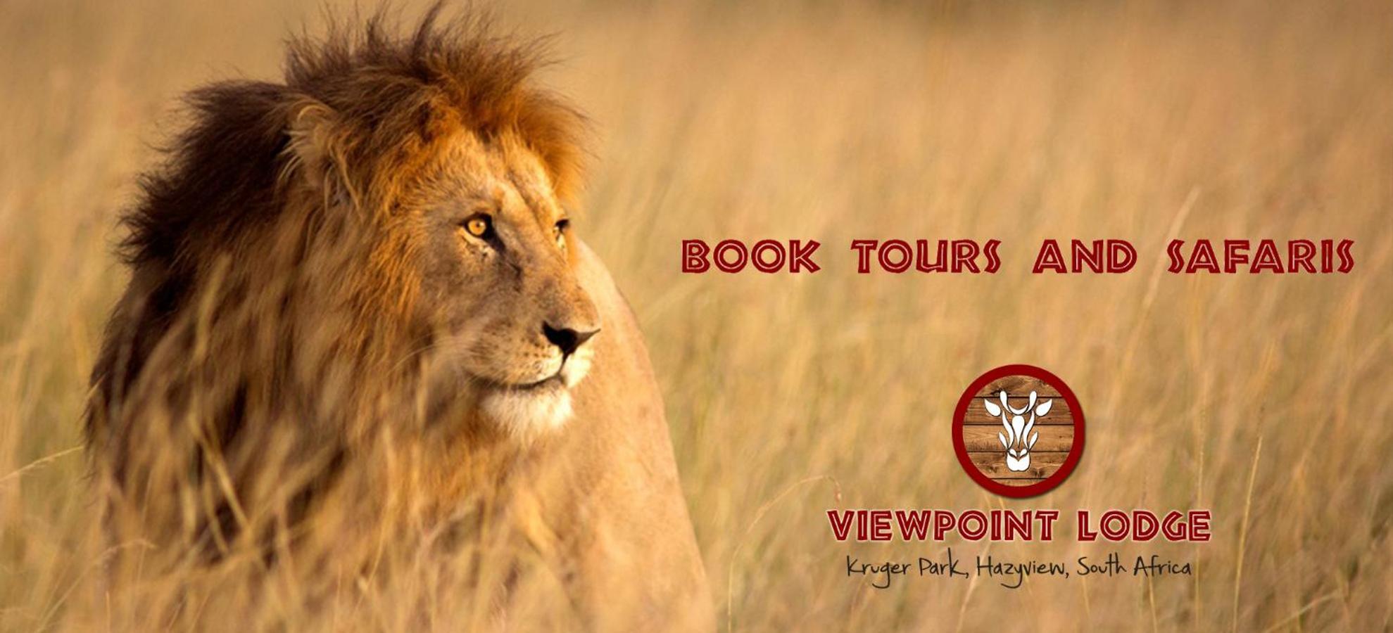 Hazyview Vacations - Viewpoint Lodge  Safari Tours - Property Image 64