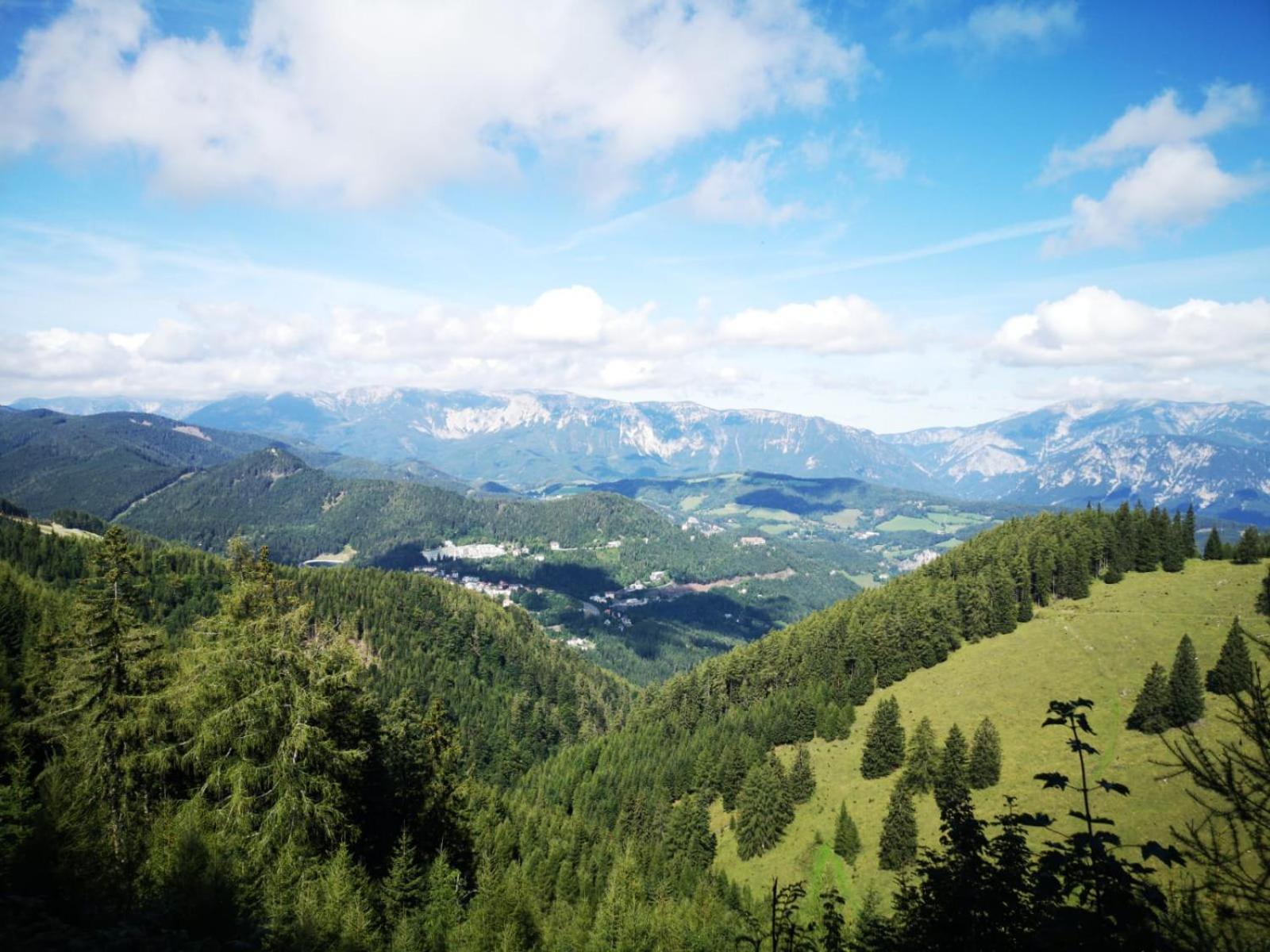Der Löffler 3ˢ Superior-Hotel am Semmering