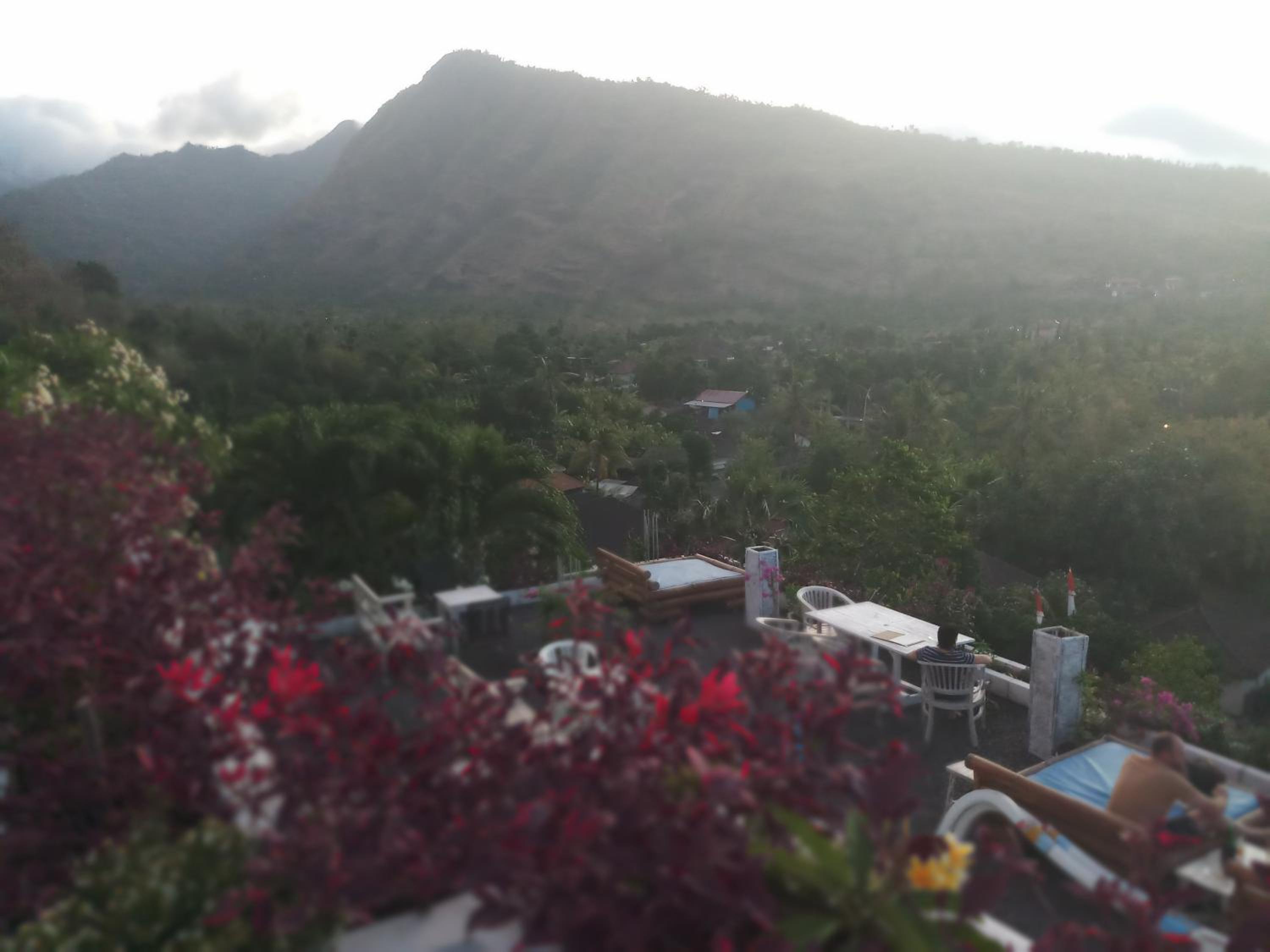 roof