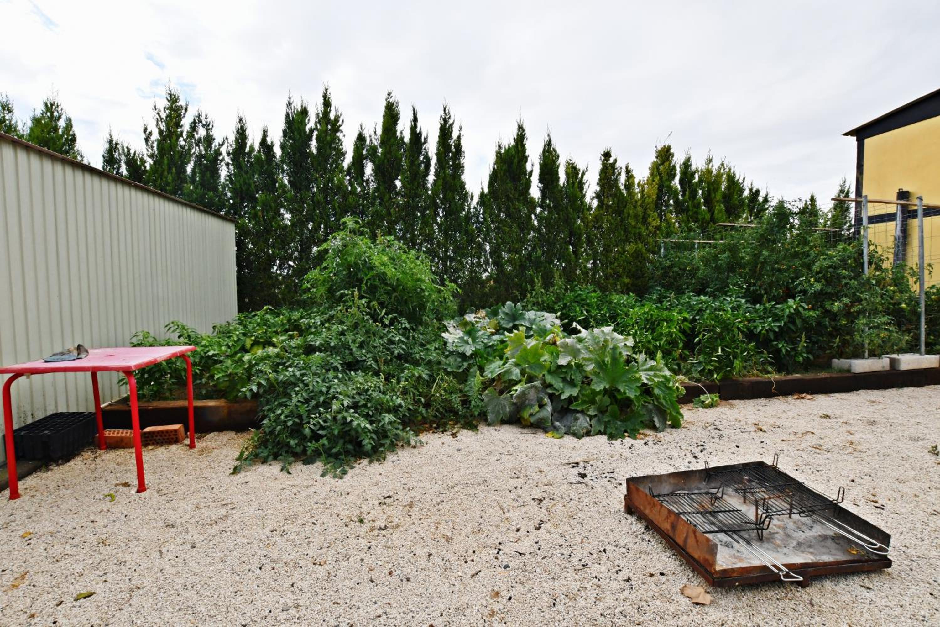 Photo 41