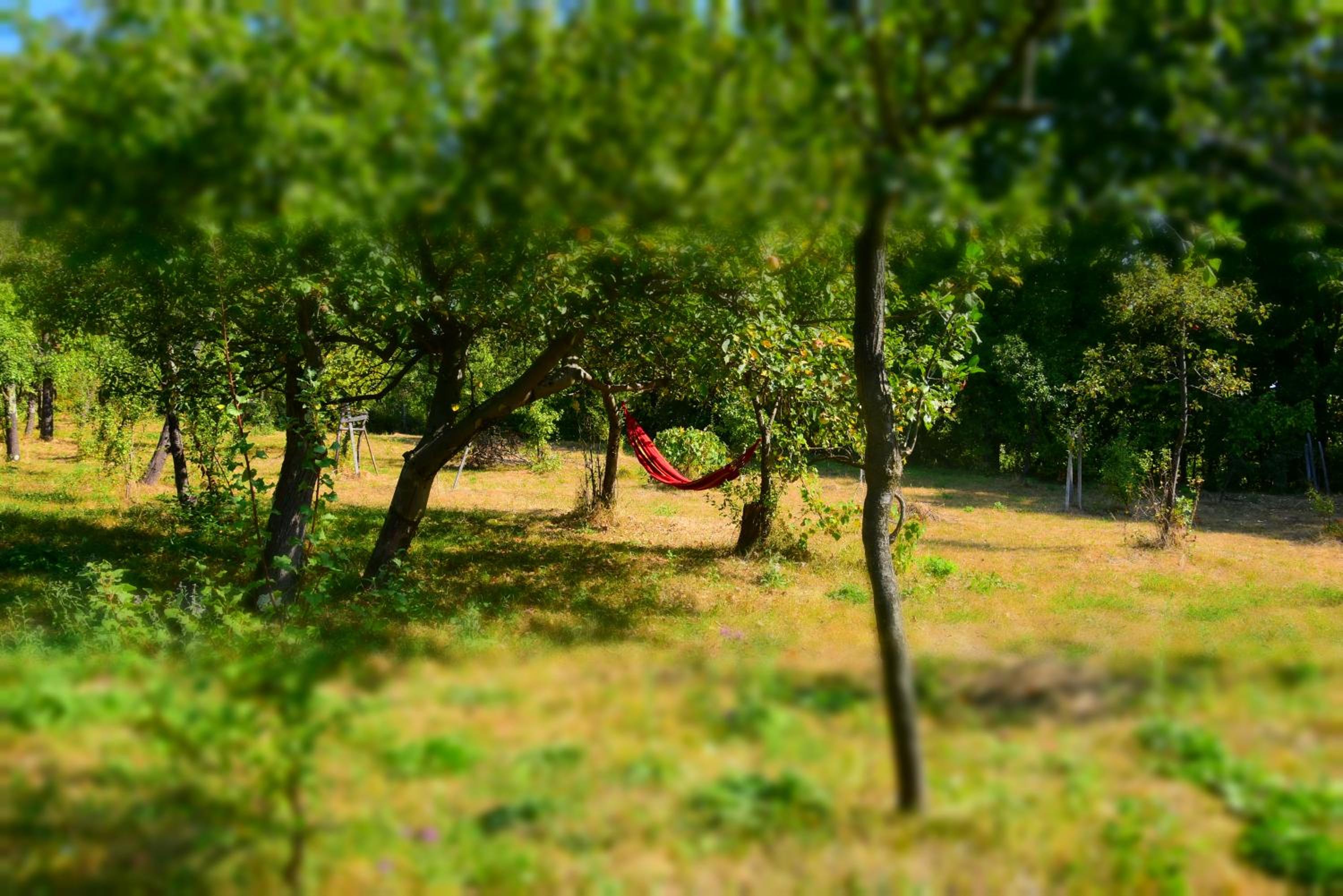 Photo 48