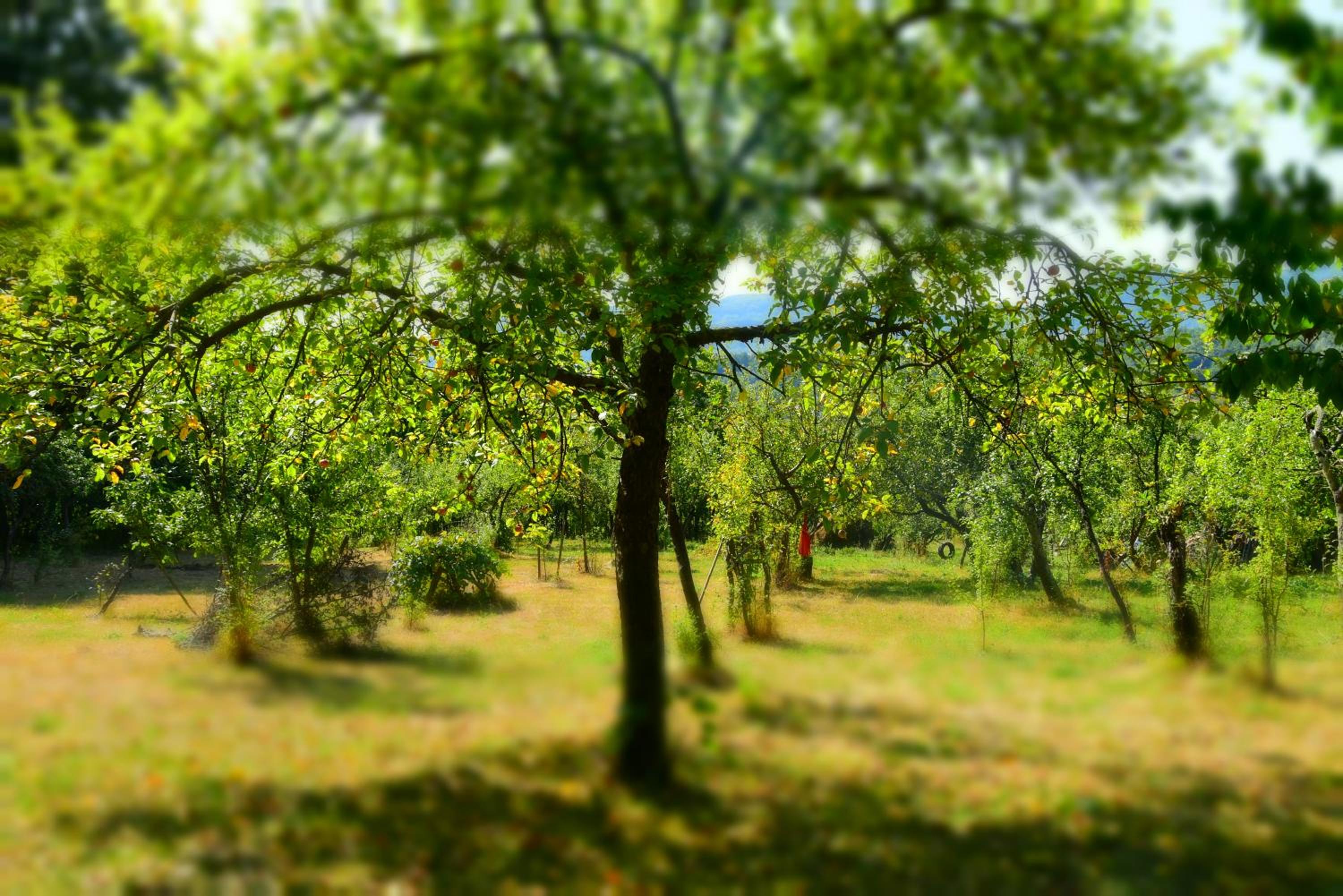 Photo 46