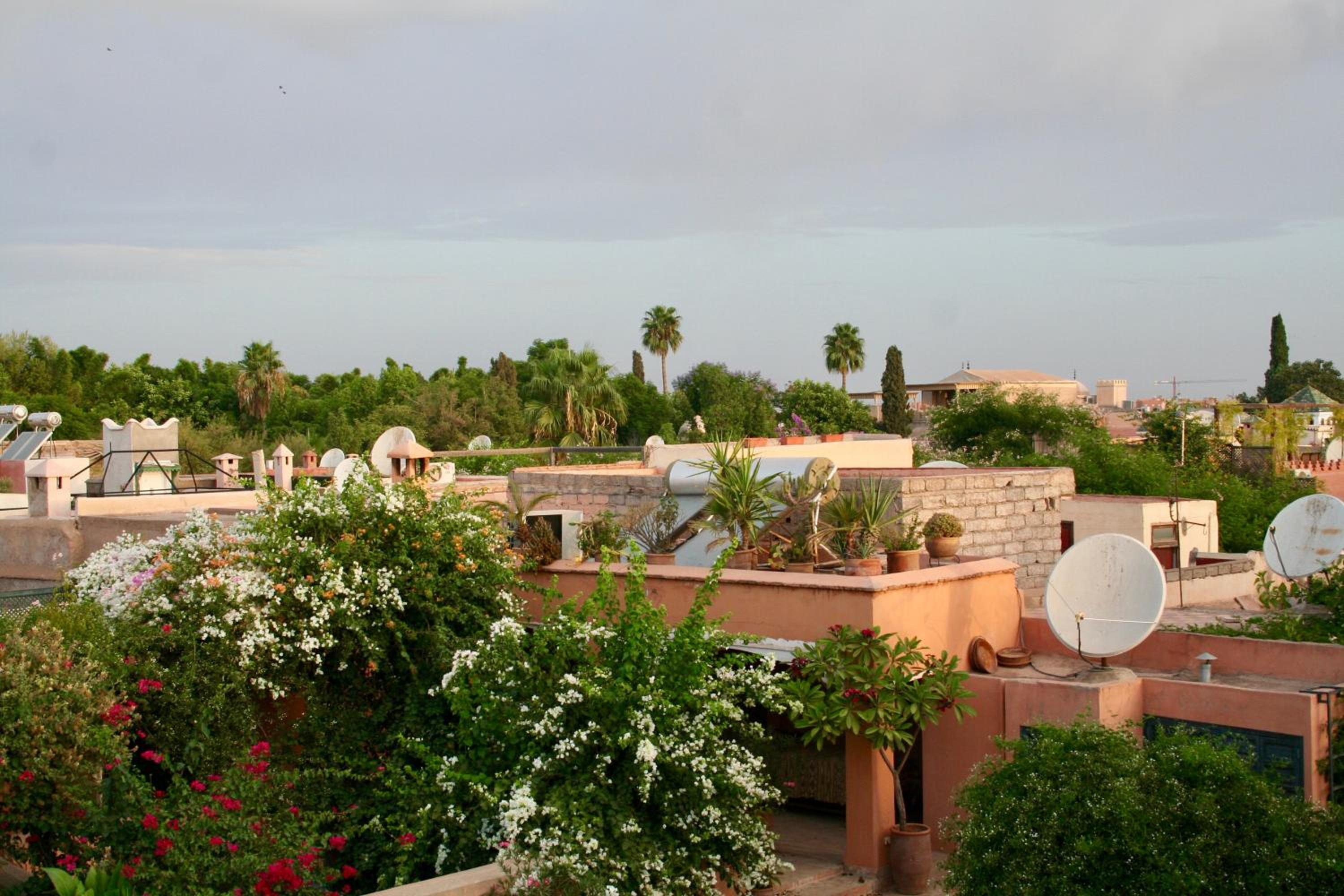 roof