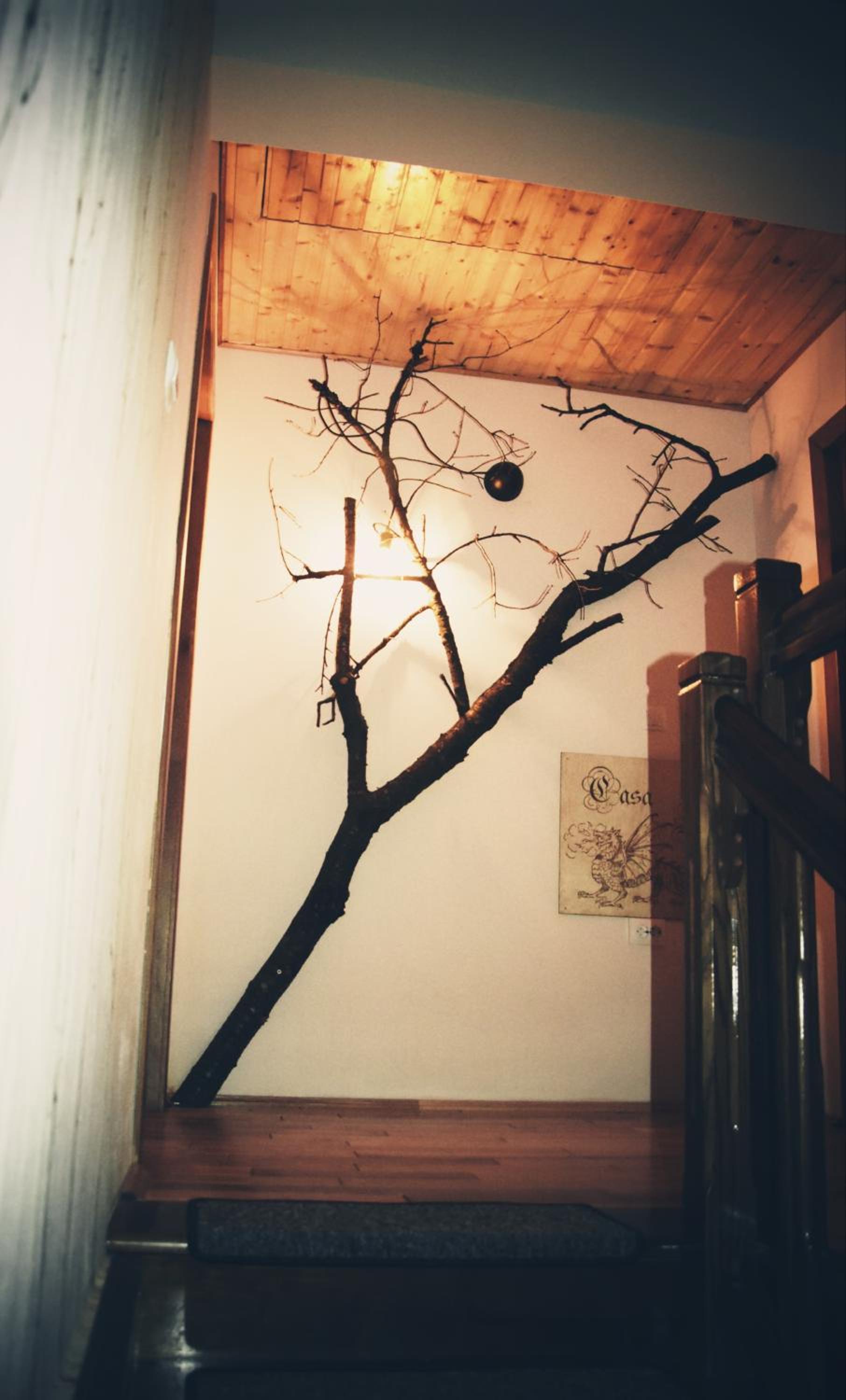 Photo 35