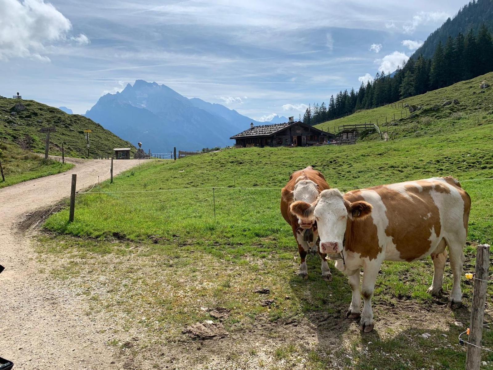 Ferienwohnungen Oberau