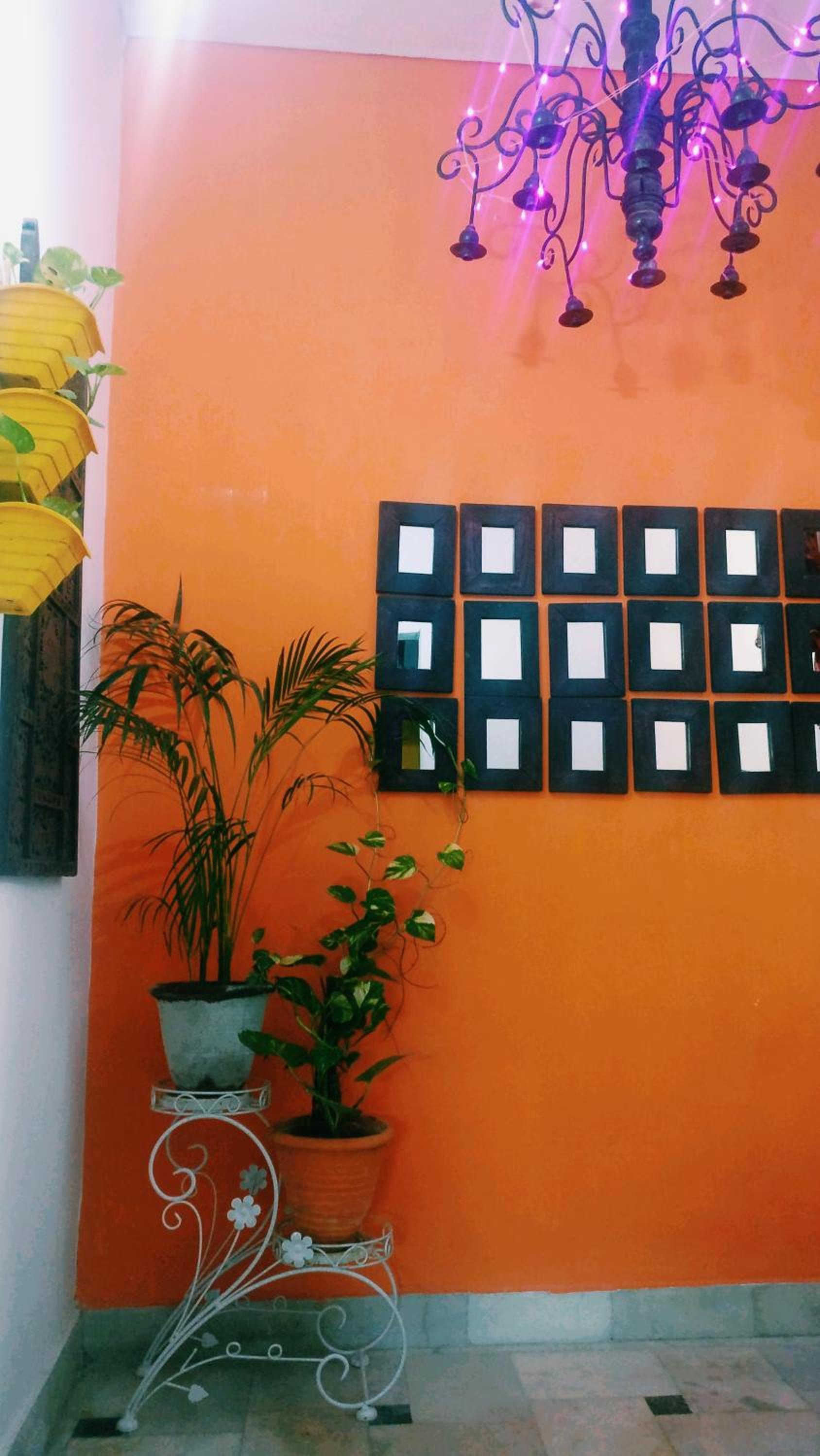 The Coral House Homestay by the Taj