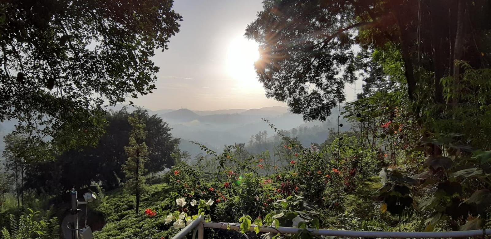 Sithara Estate Bungalow view 4