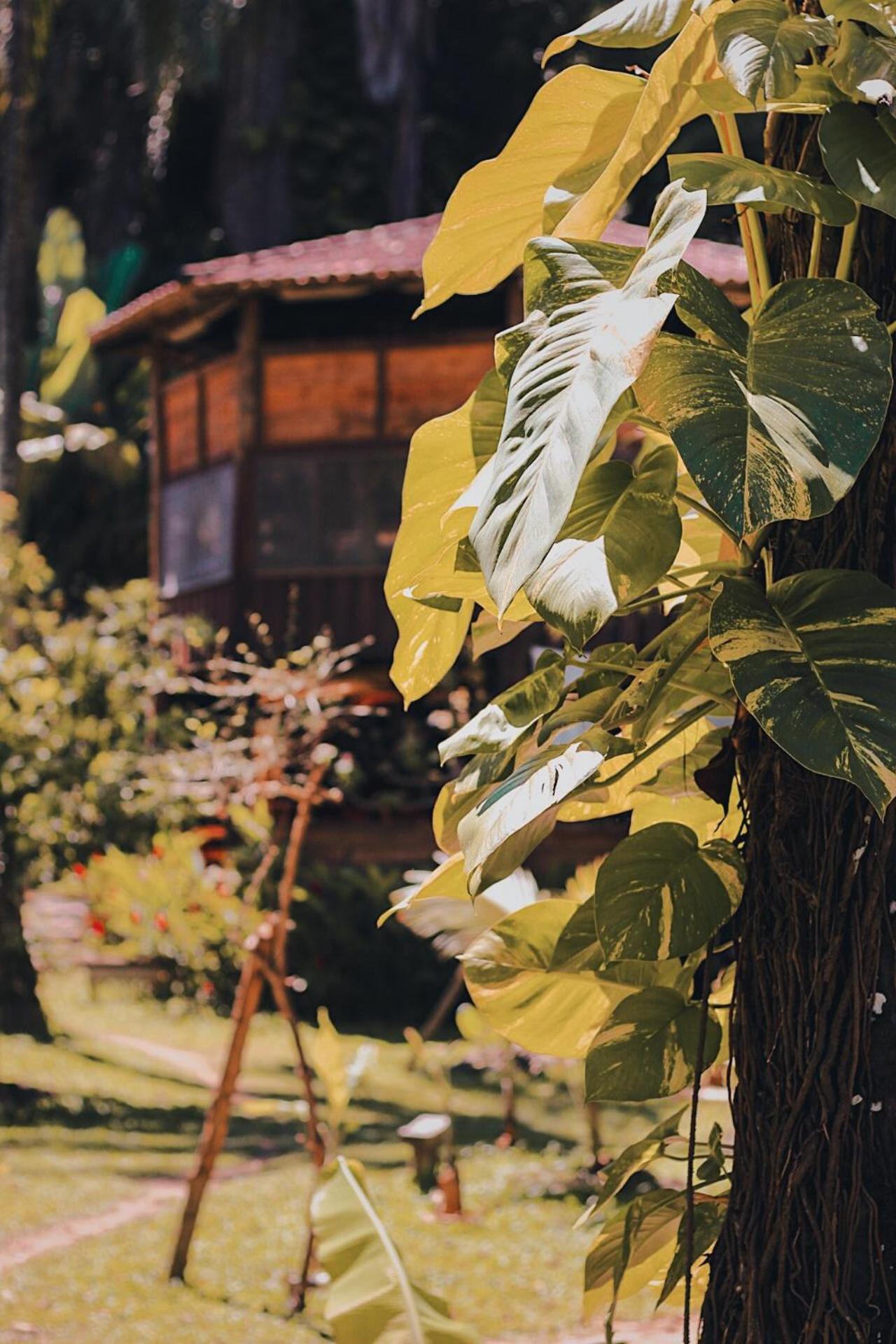 Casa Conduru view 5