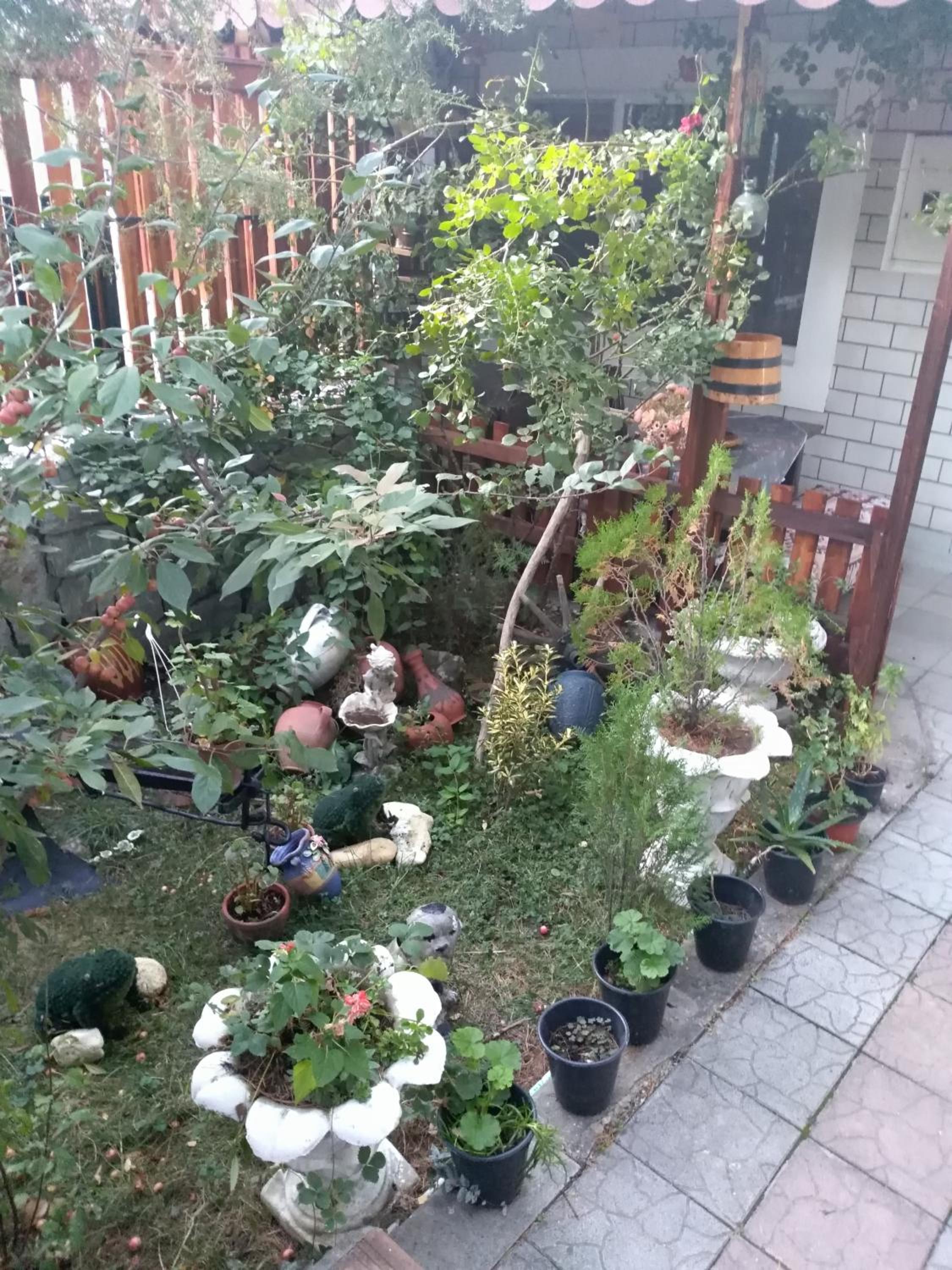 Photo 44