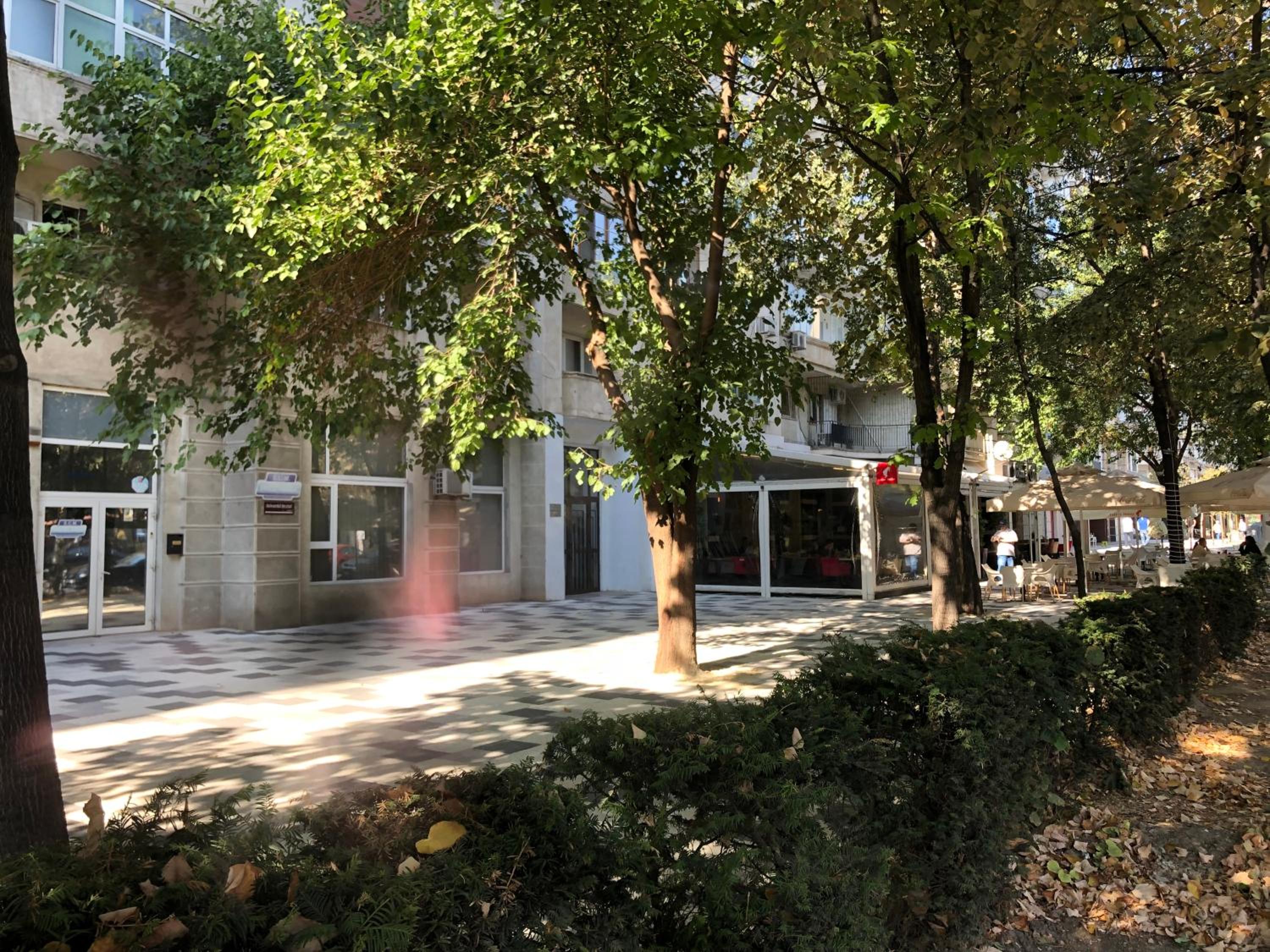Photo 19