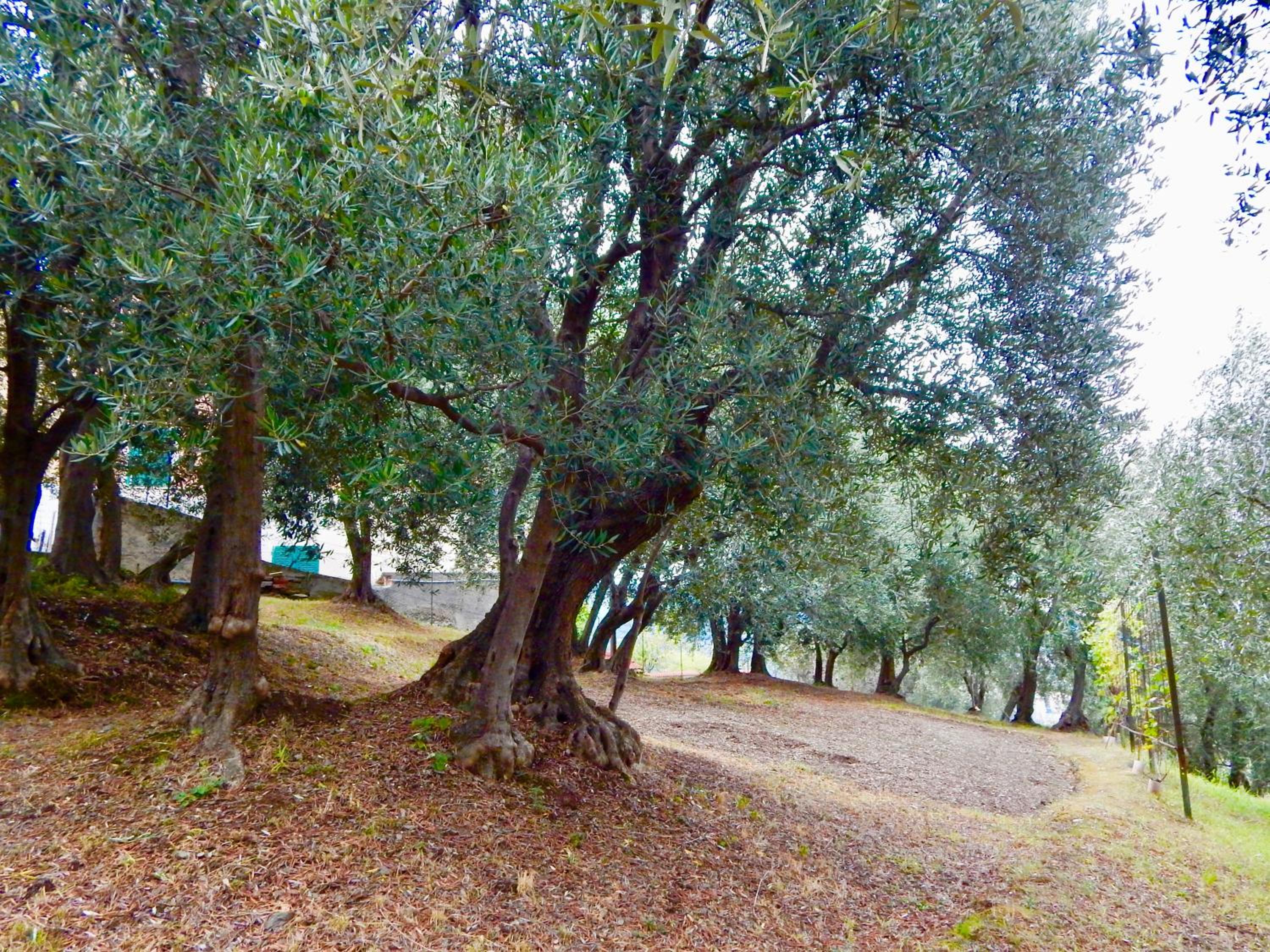 Photo 30