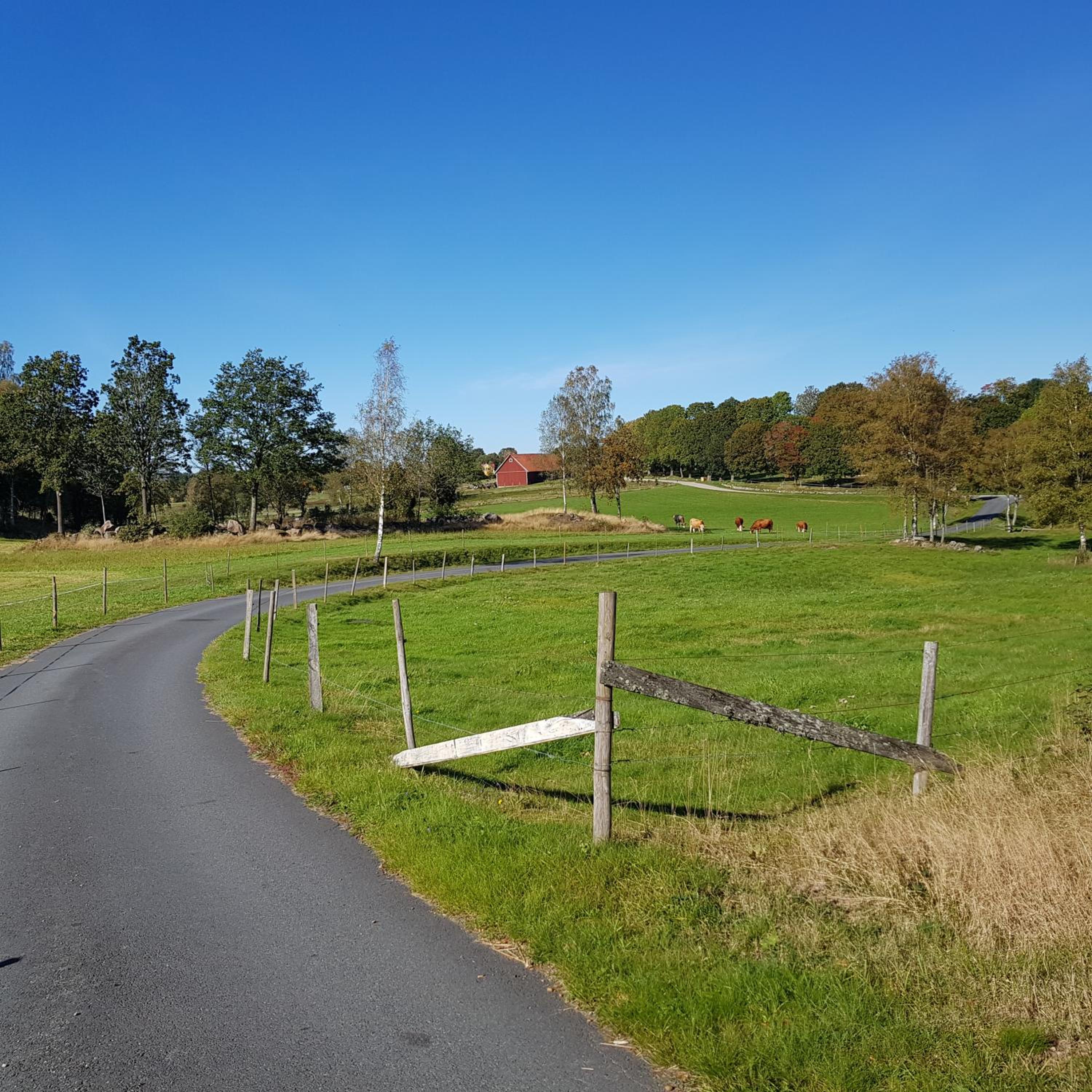 1800-tals torp i landsbygd nära till allt view 2