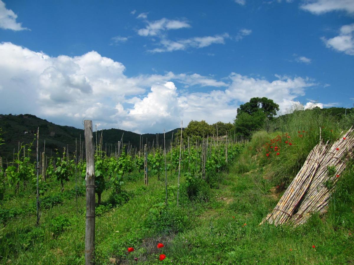 Agriturismo La Gioconda