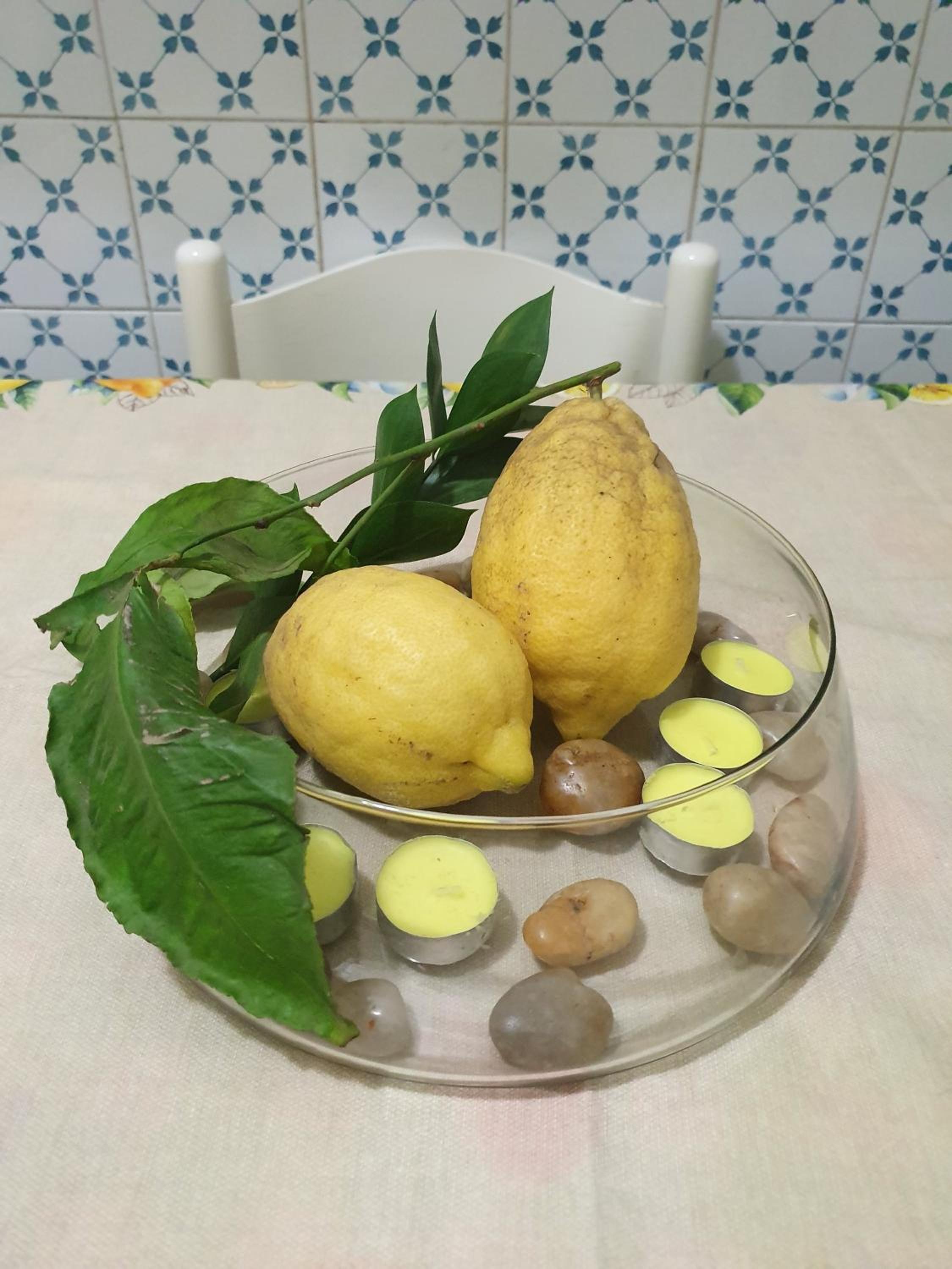 Home In The Blue photo 3