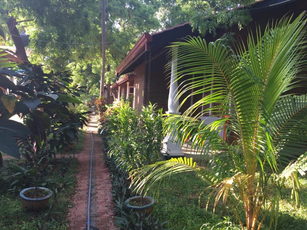 Photo 23