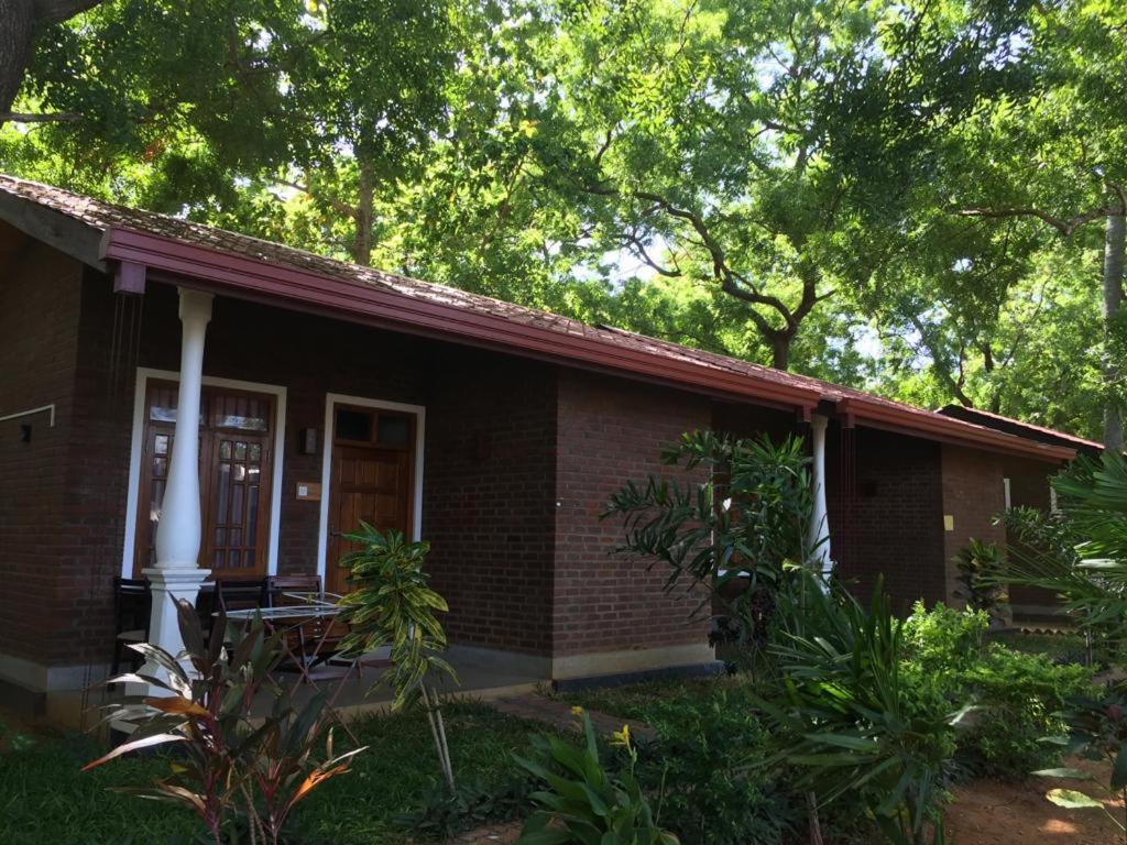 Photo 13