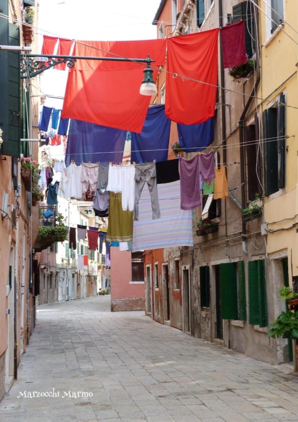 Biennale Ca Dario