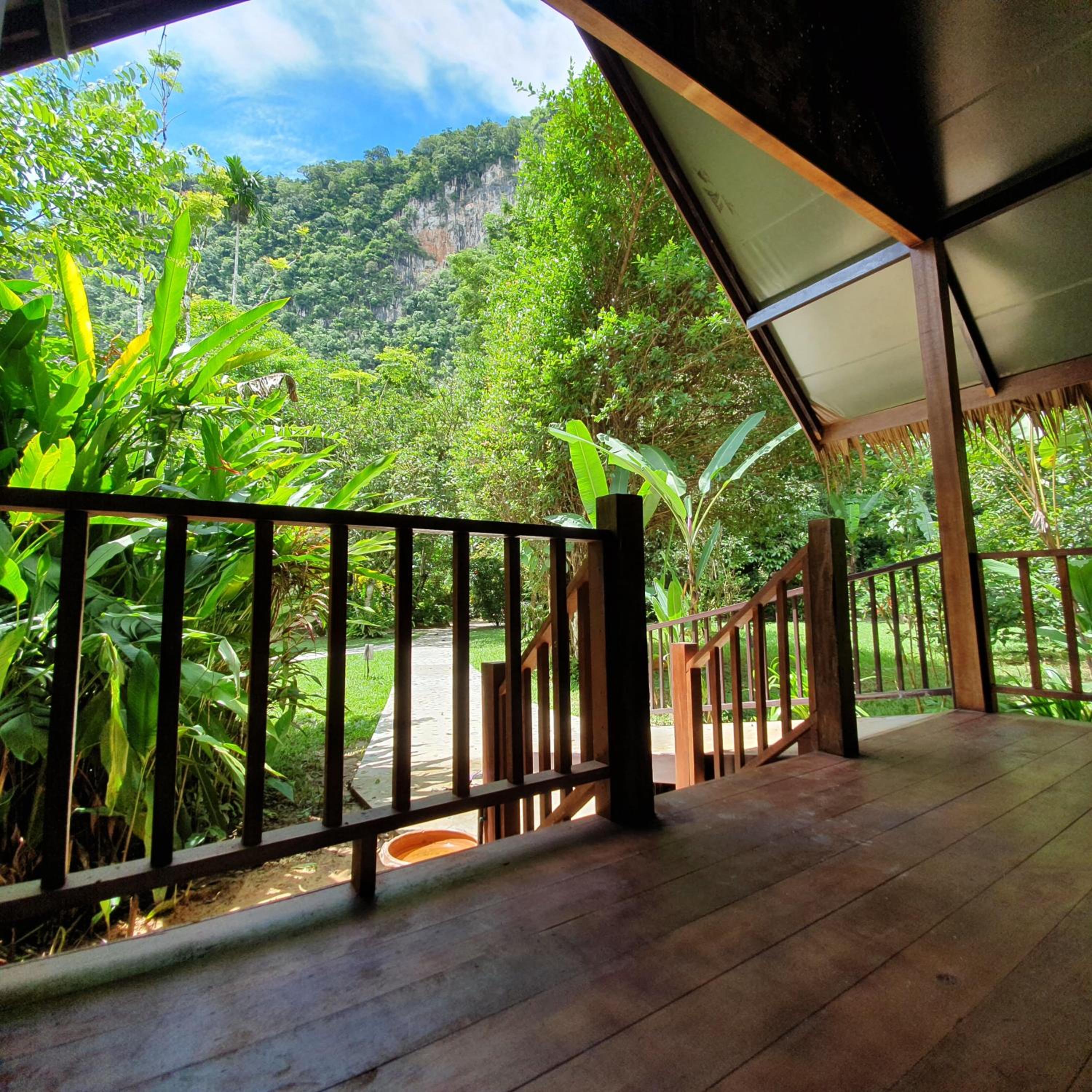 Our Jungle House