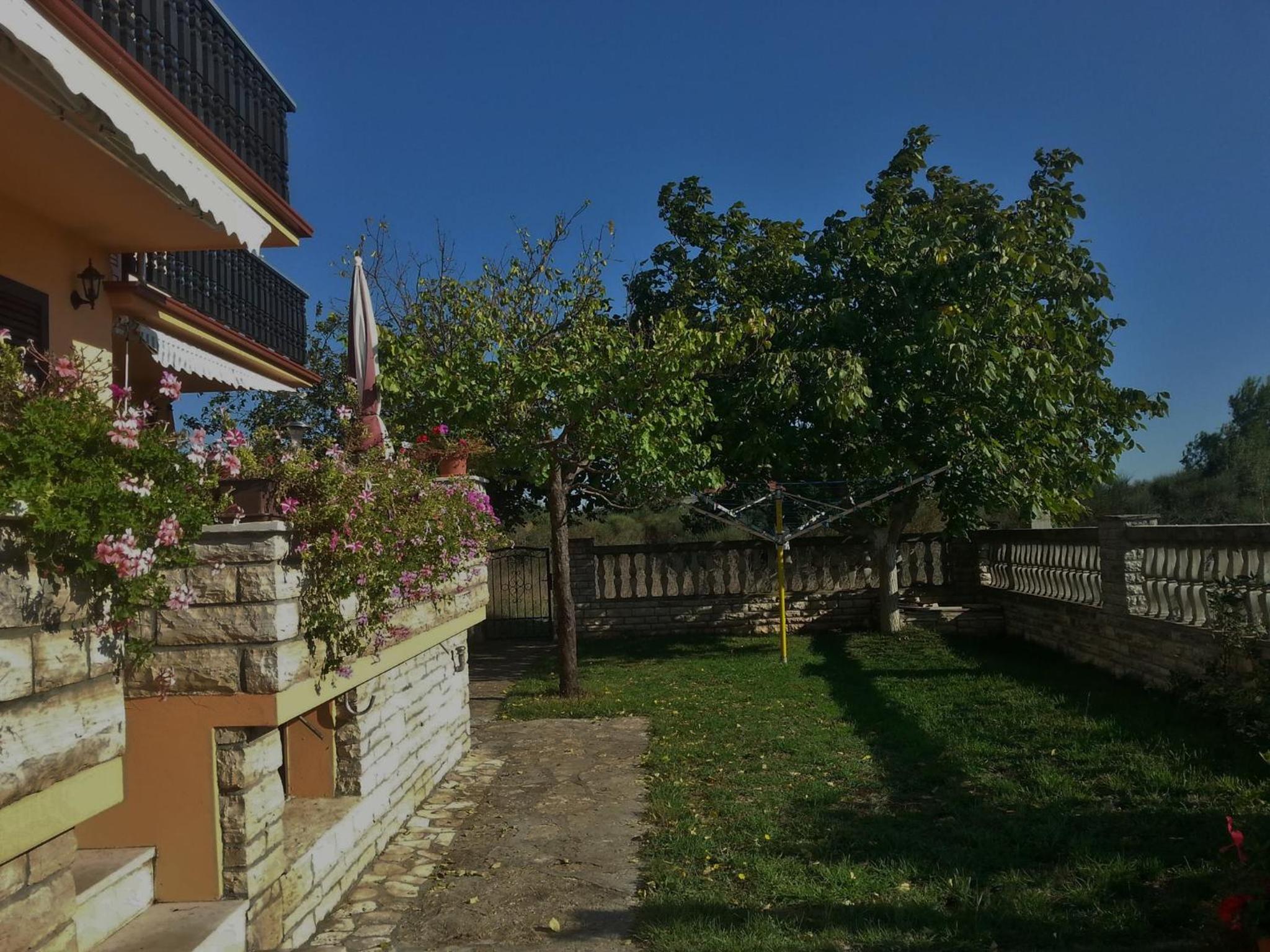 Photo 45